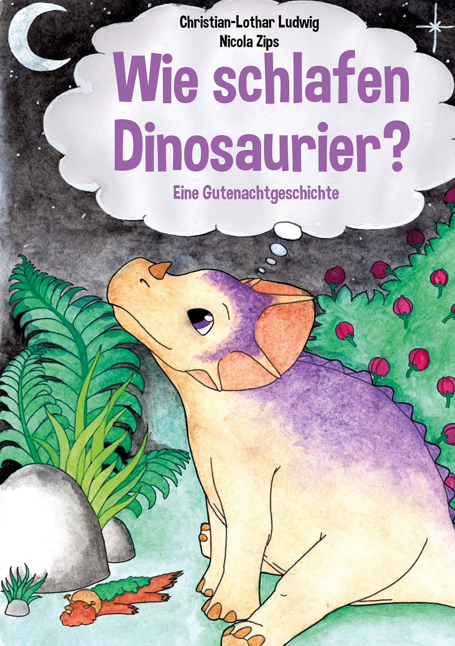 Wie schlafen Dinosaurier?: Eine kurze Gutenachtgeschichte Politics & History
