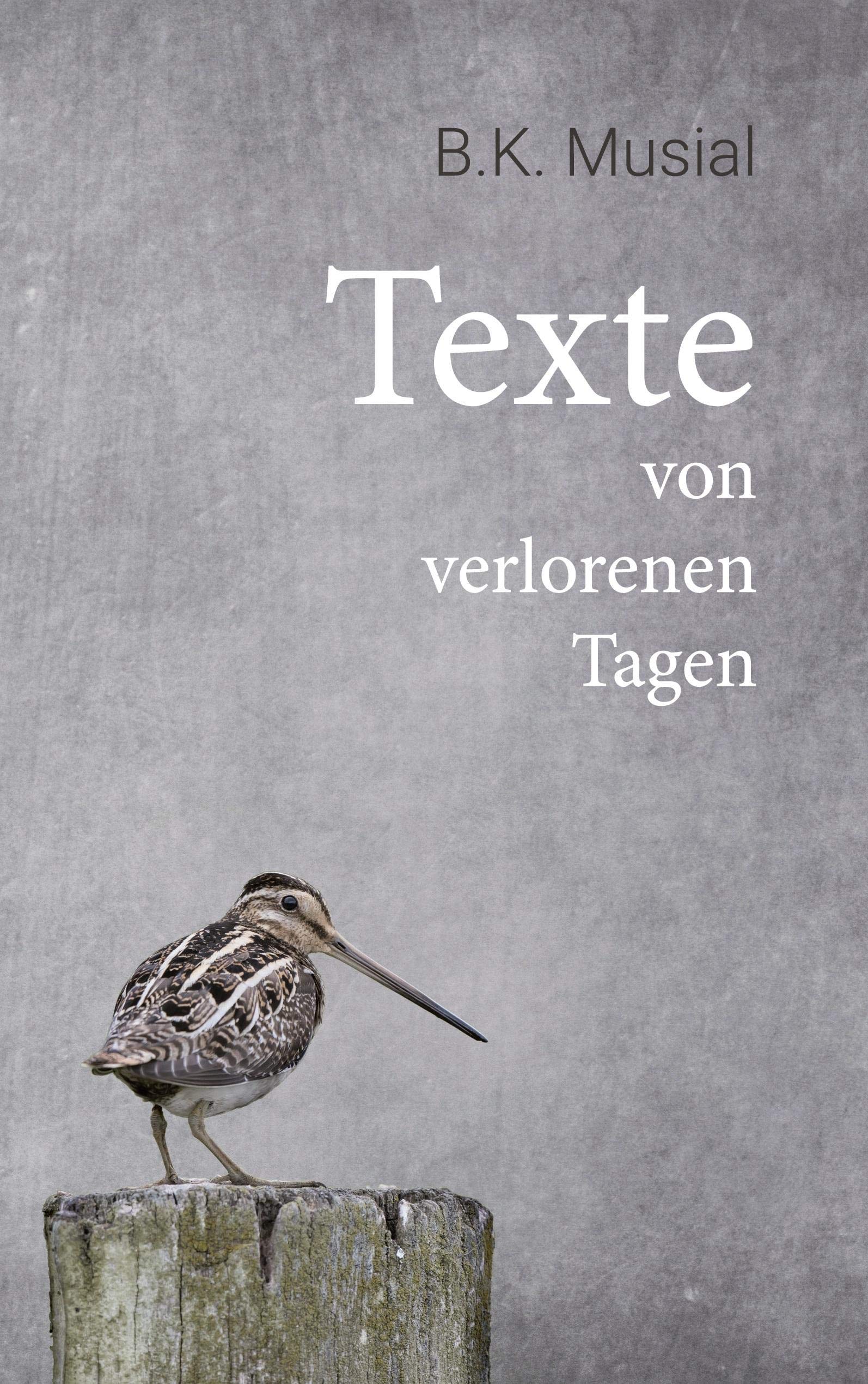 Texte von verlorenen Tagen Essays & Short Stories