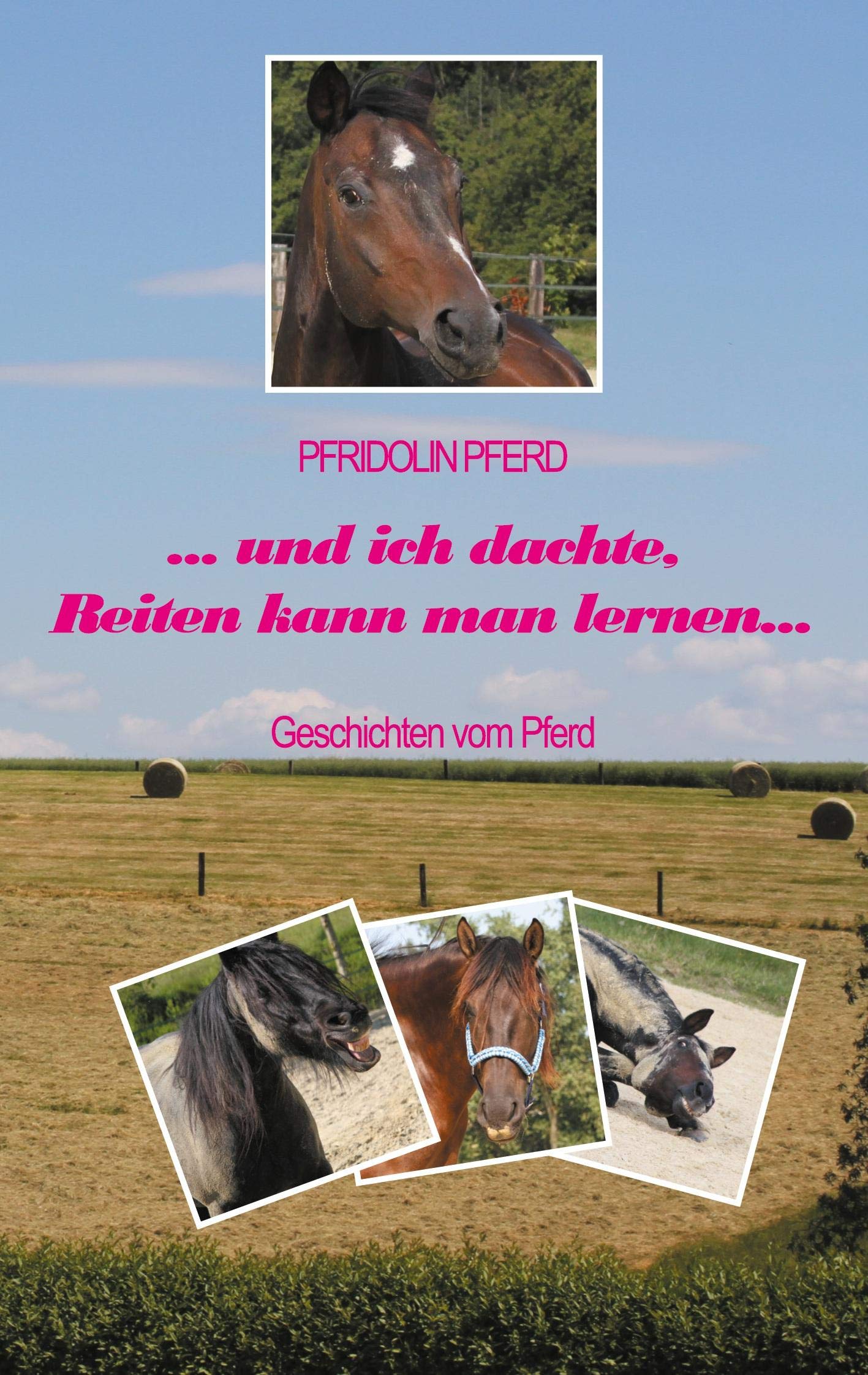 und ich dachte, Reiten kann man lernen Essays & Short Stories