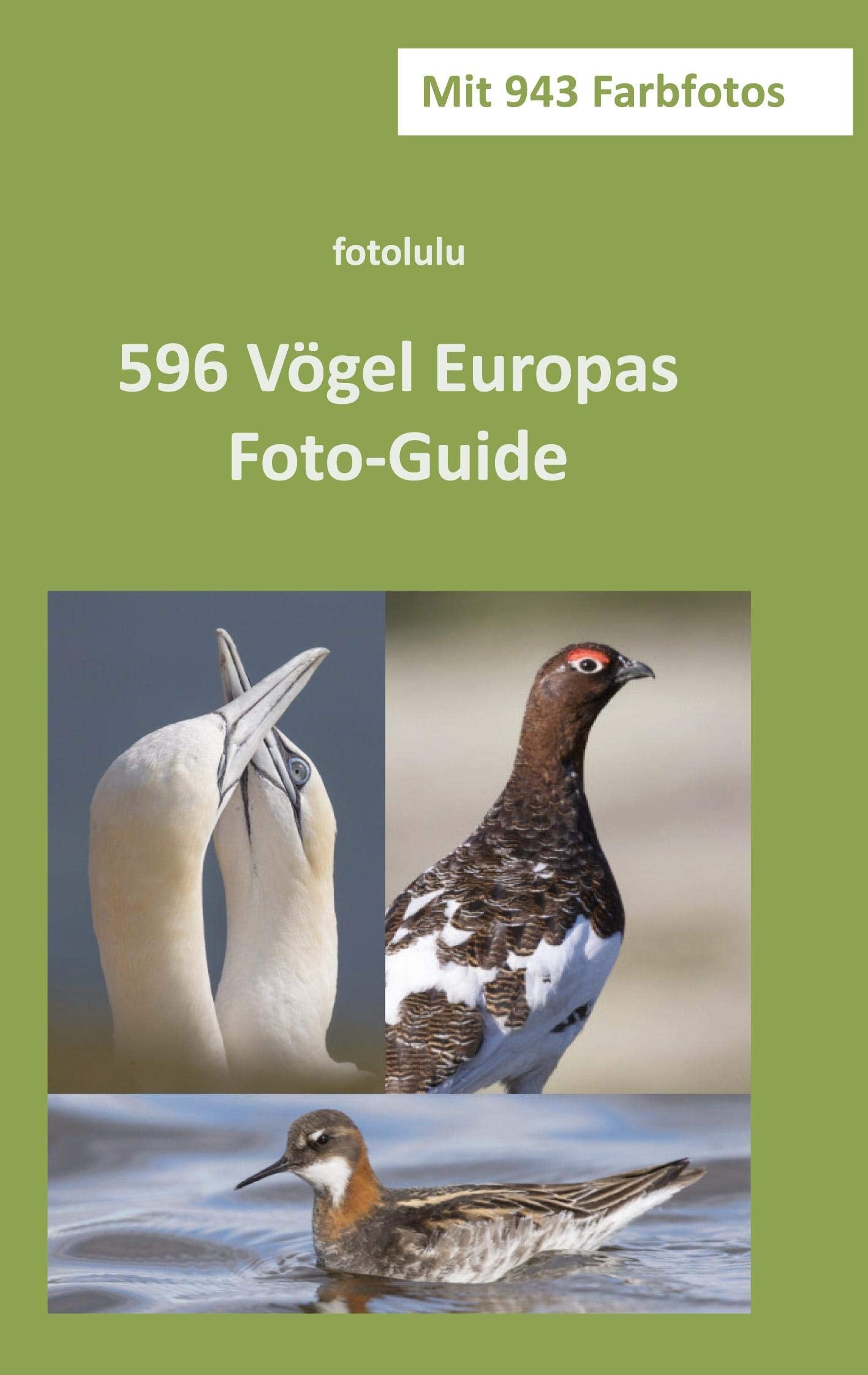 Product Image: 596 Vögel Europas