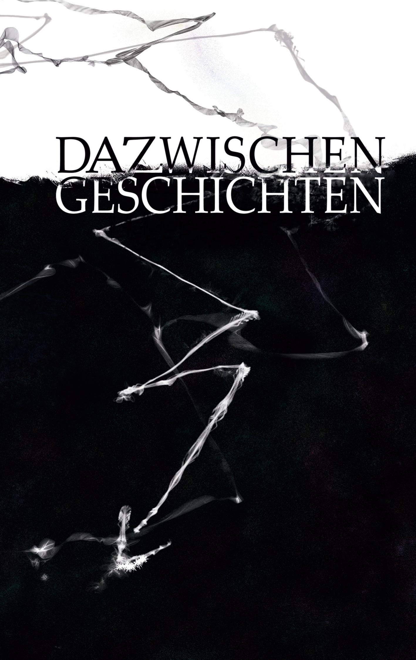 Dazwischengeschichten Essays & Short Stories