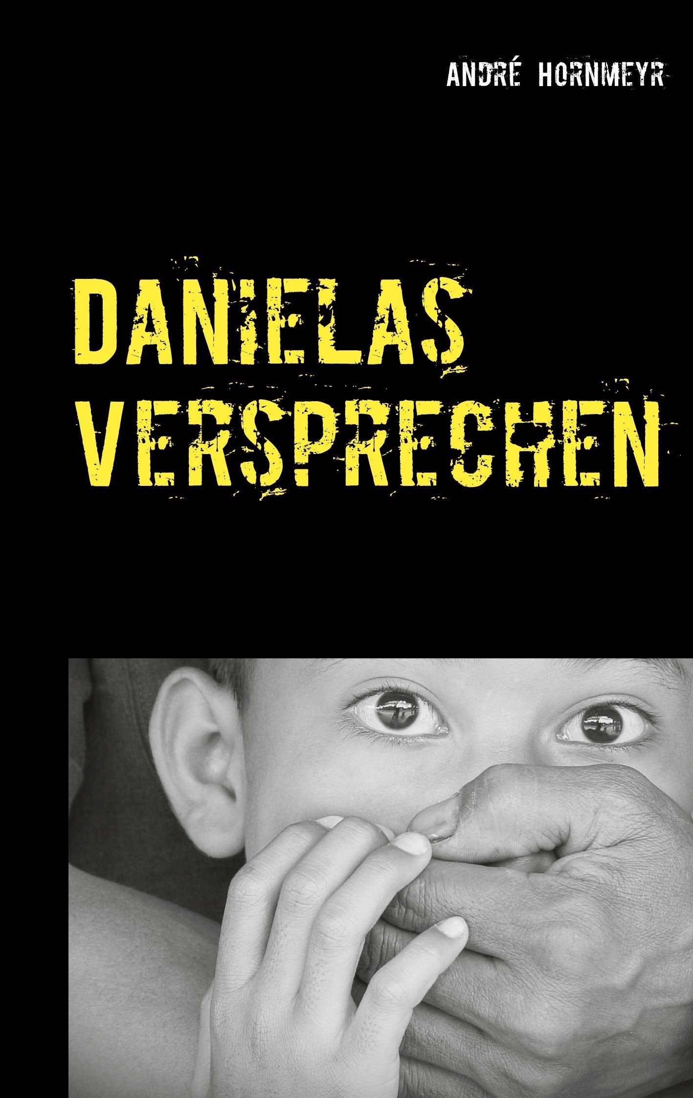 Danielas Versprechen Contemporary literature Books