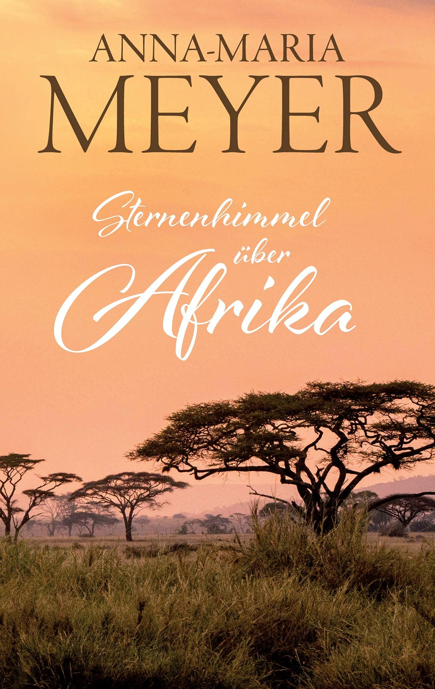 Sternenhimmel über Afrika Contemporary literature Books
