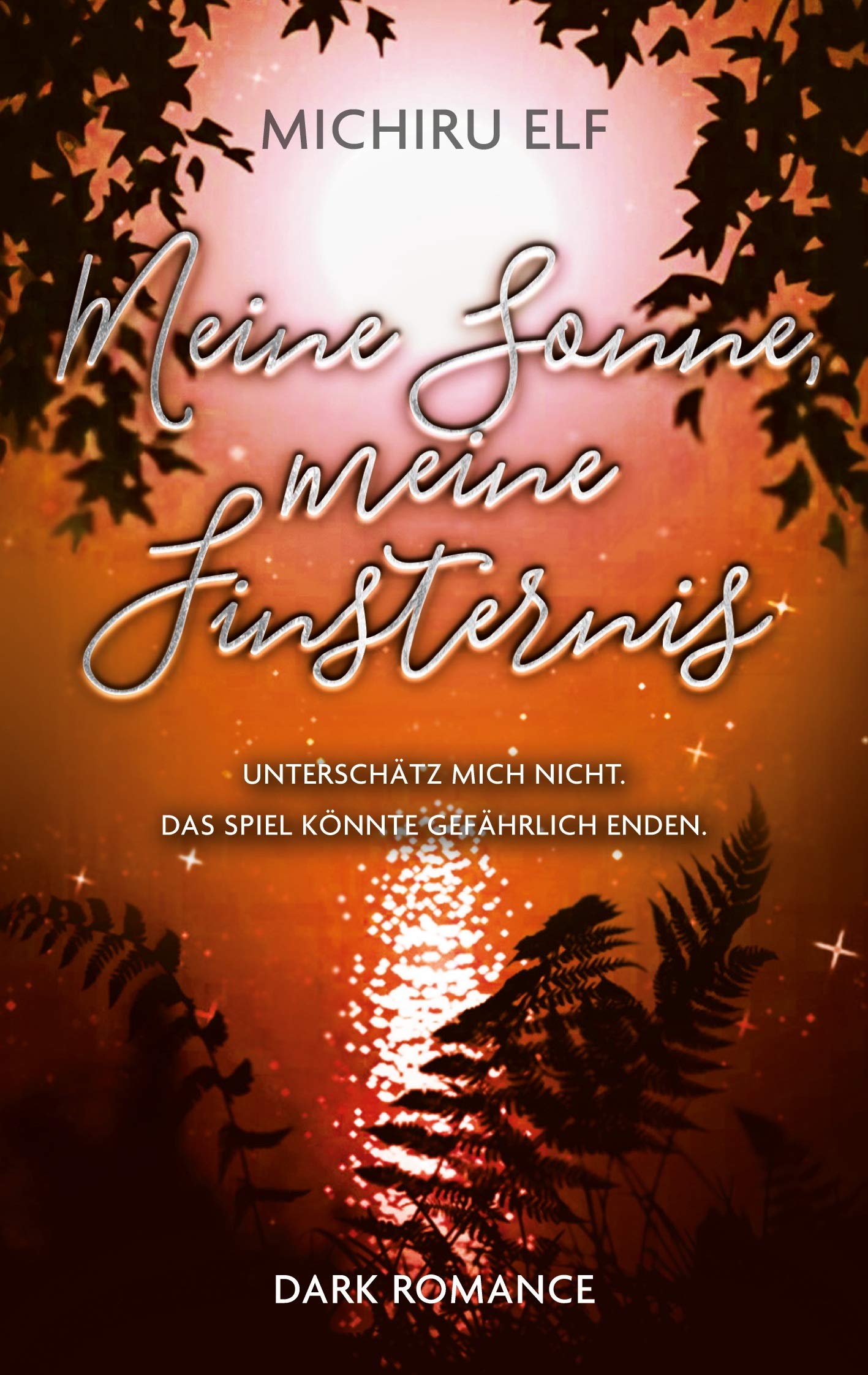 Meine Sonne, meine Finsternis Contemporary literature