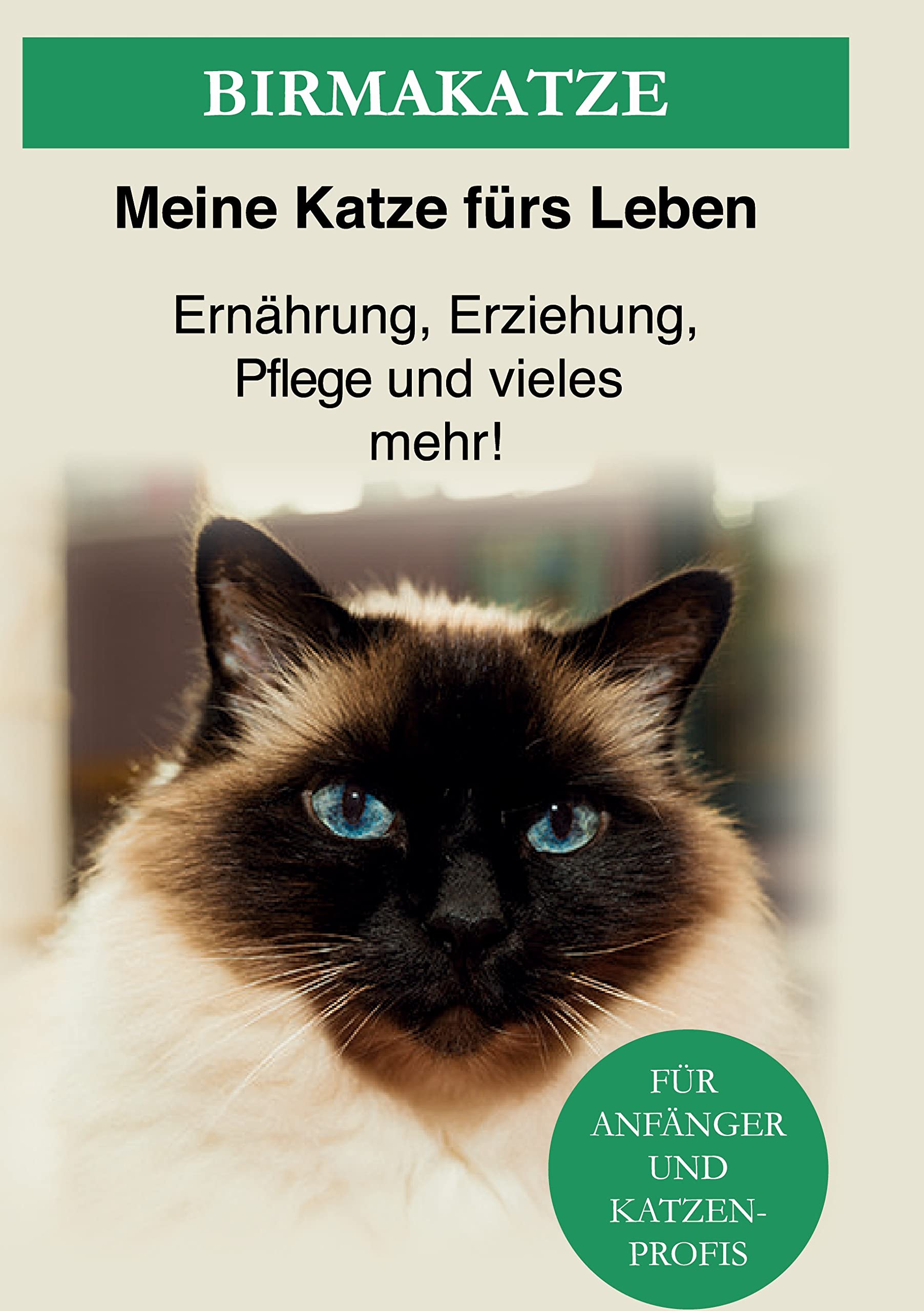 Birma Katze: Die heilige Birma Katze - Ernährung, Erziehung, Pflege und vieles mehr! Pets