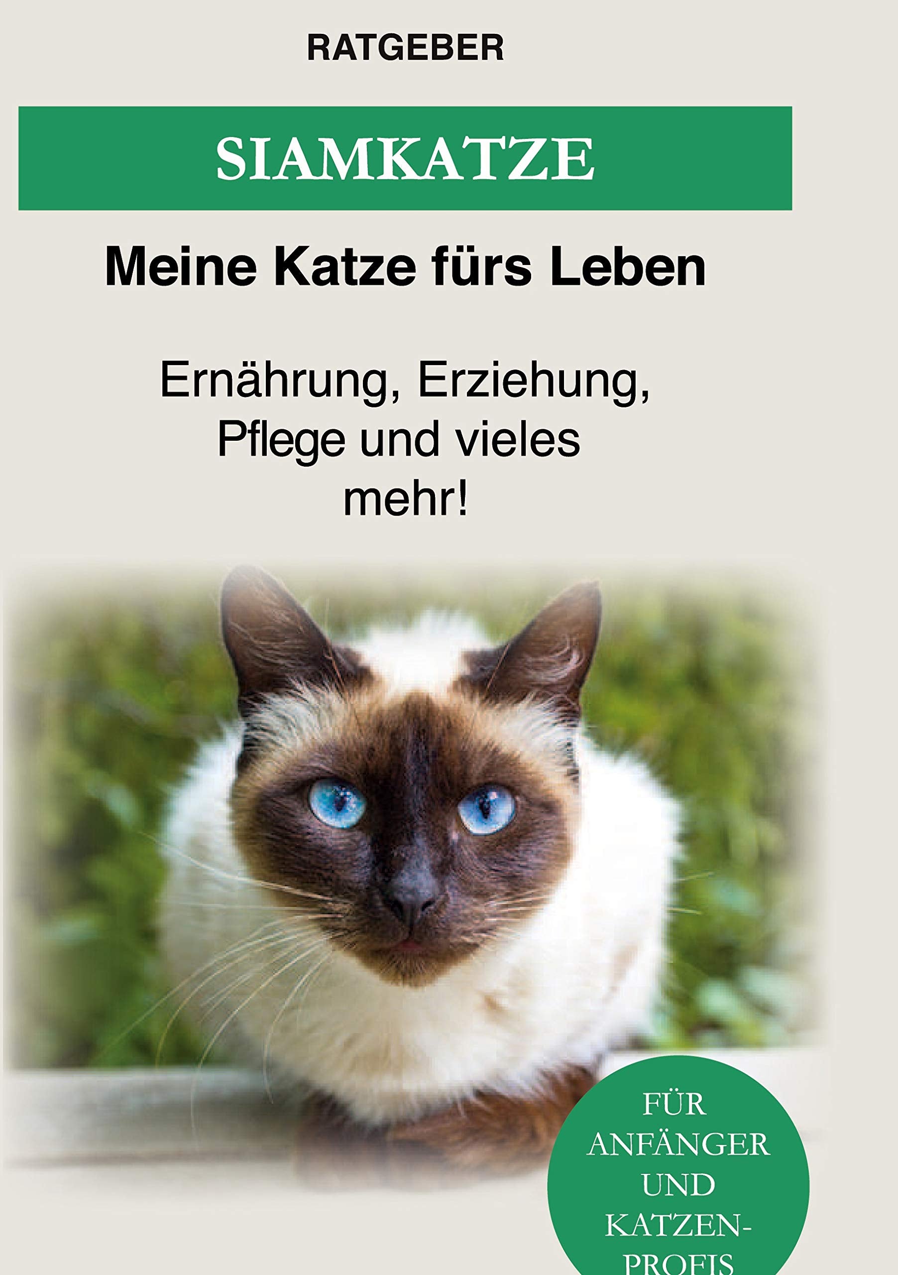 Siam Katze: Siamkatze - Ernährung, Erziehung, Pflege und vieles mehr! Pets