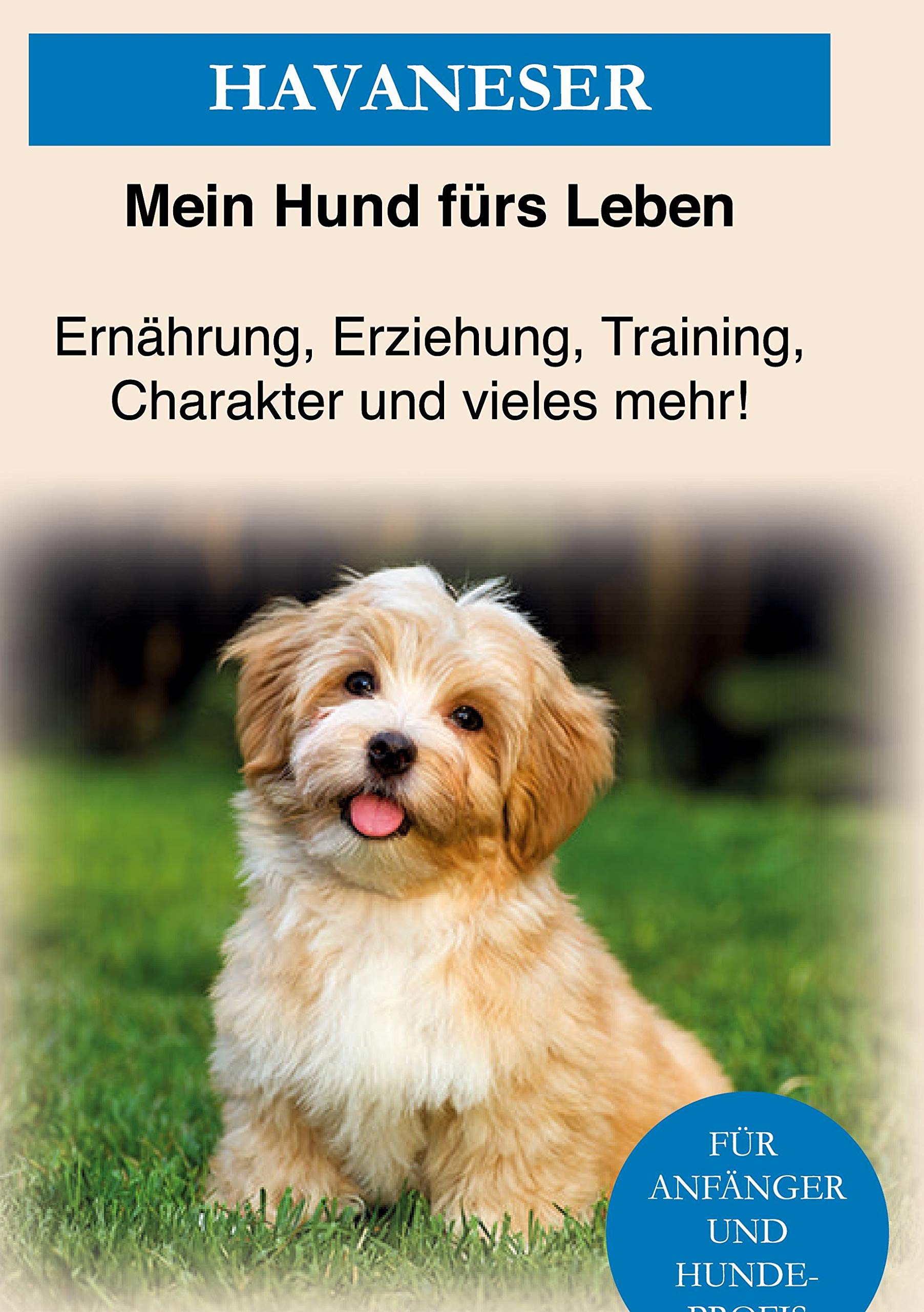 Havaneser Pets