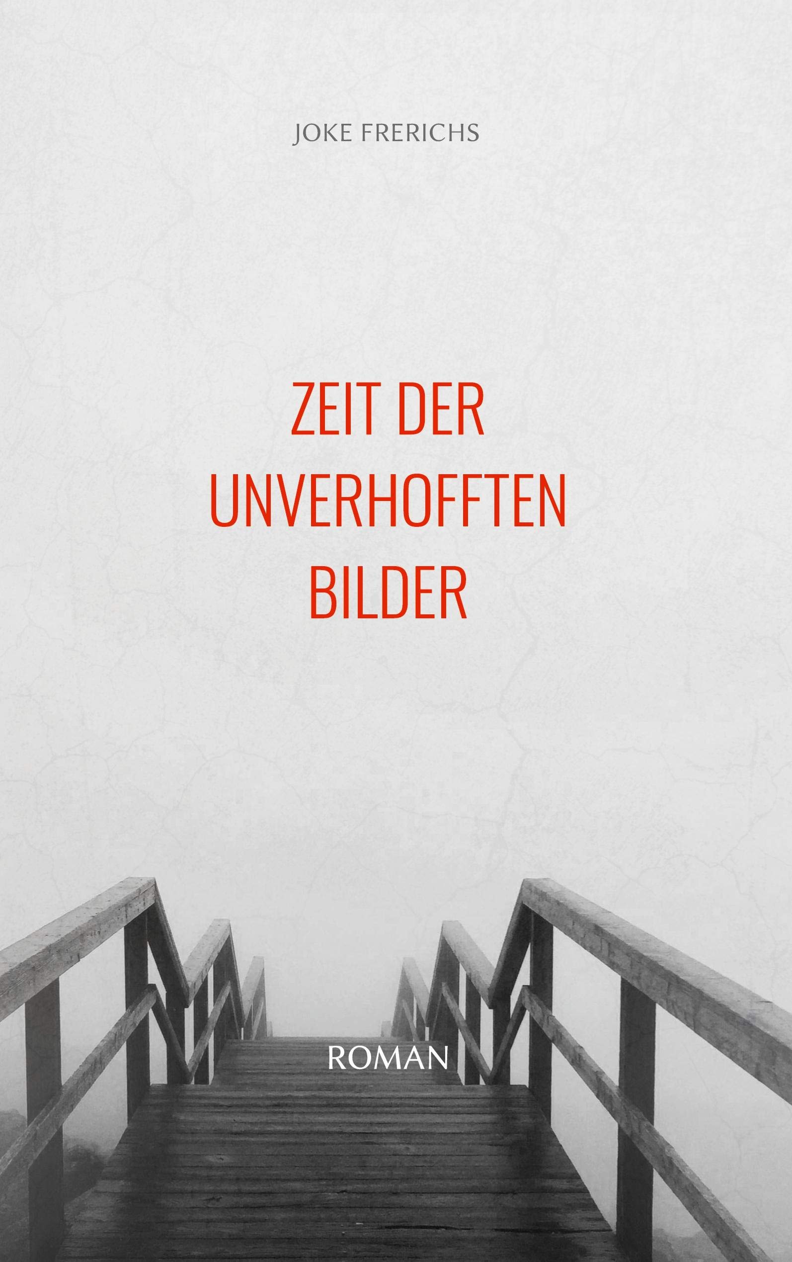 Zeit der unverhofften Bilder: Roman Contemporary literature