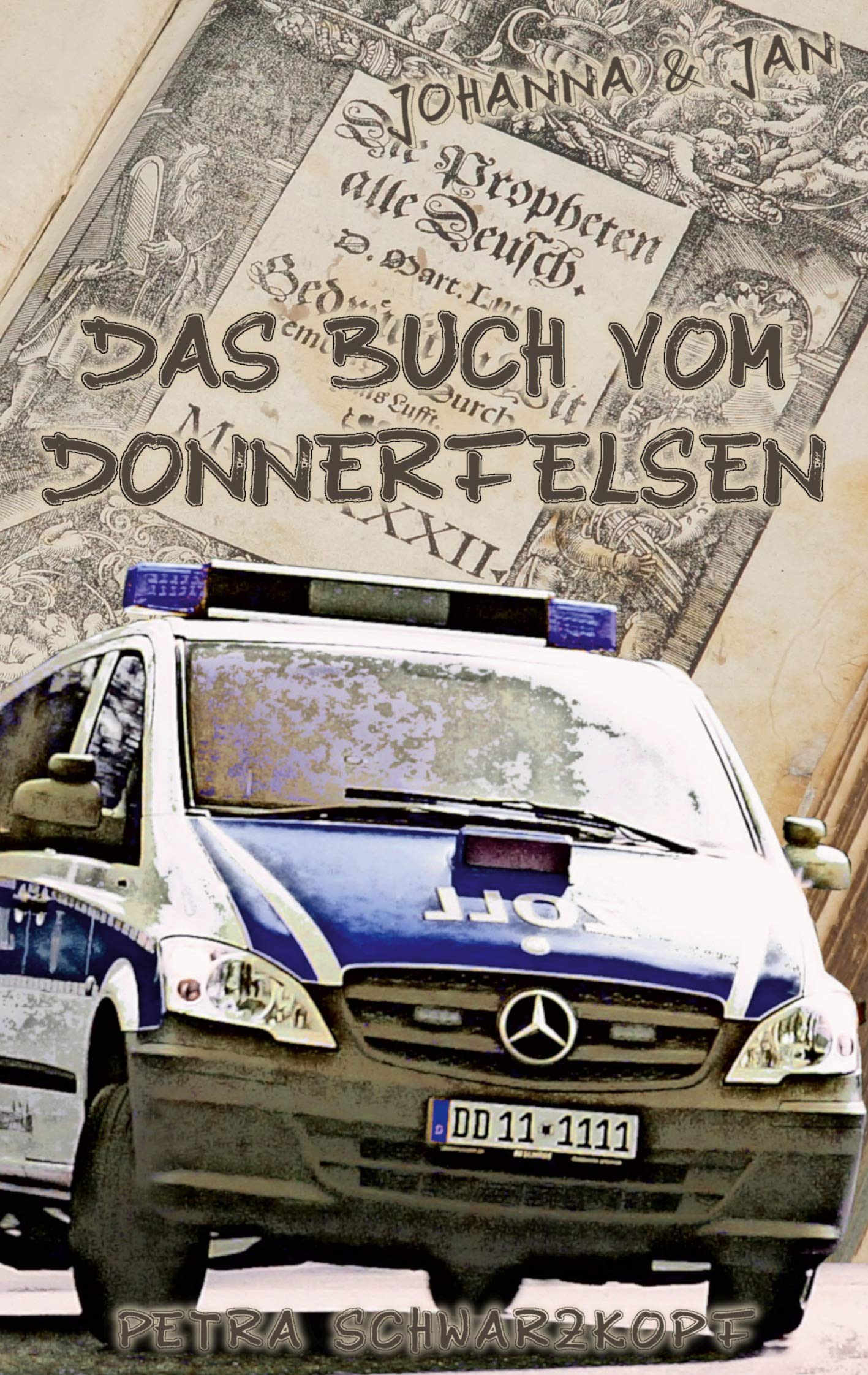 Johanna und Jan: Das Buch vom Donnerfelsen book