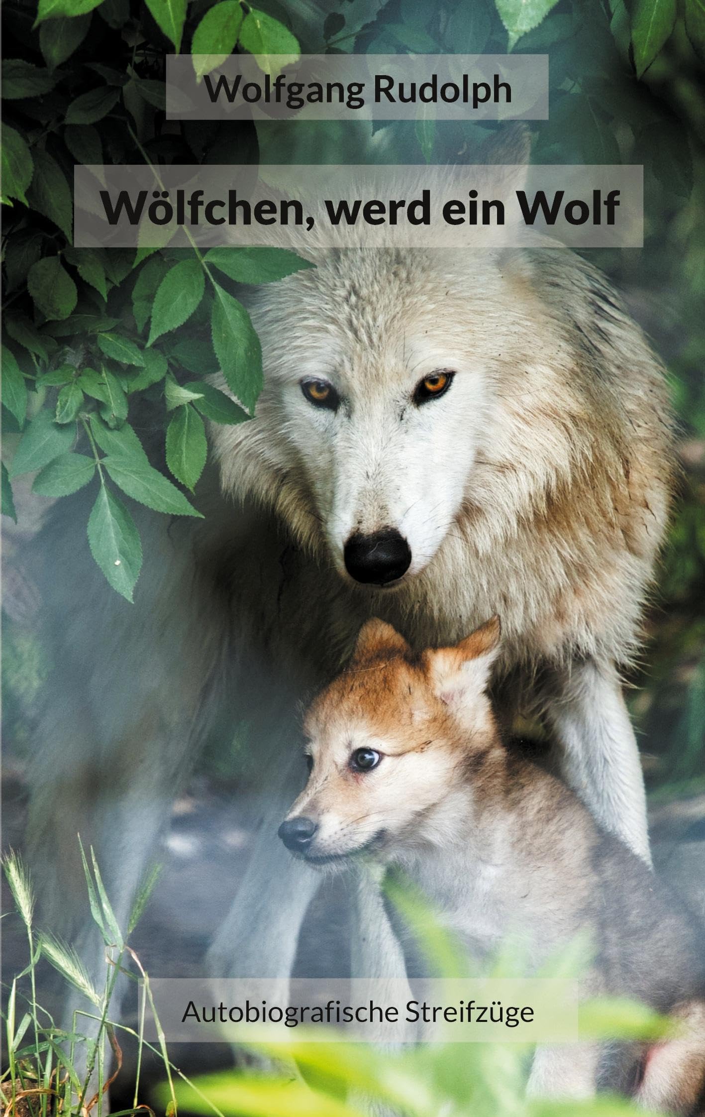 Wölfchen, werd ein Wolf: Autobiografische Streifzüge Politics & Society