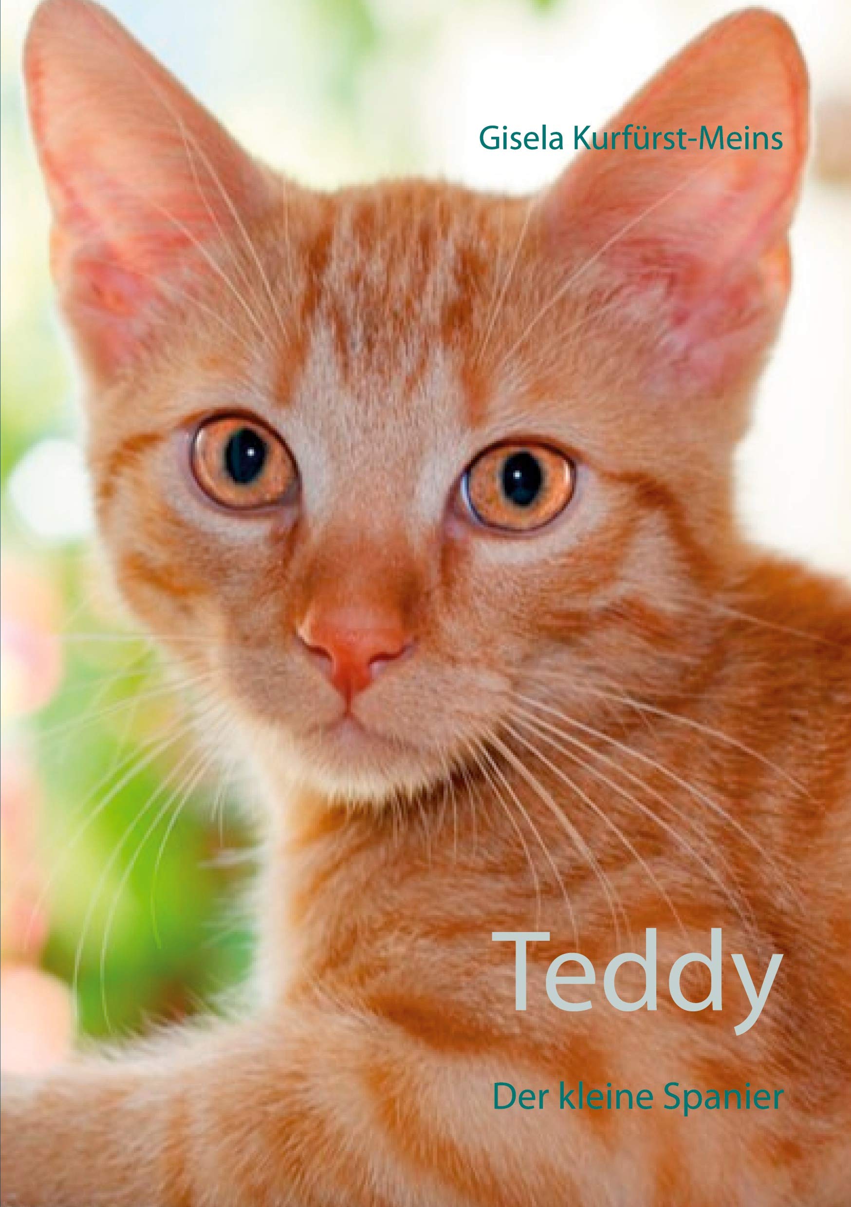 Teddy Action & Adventure