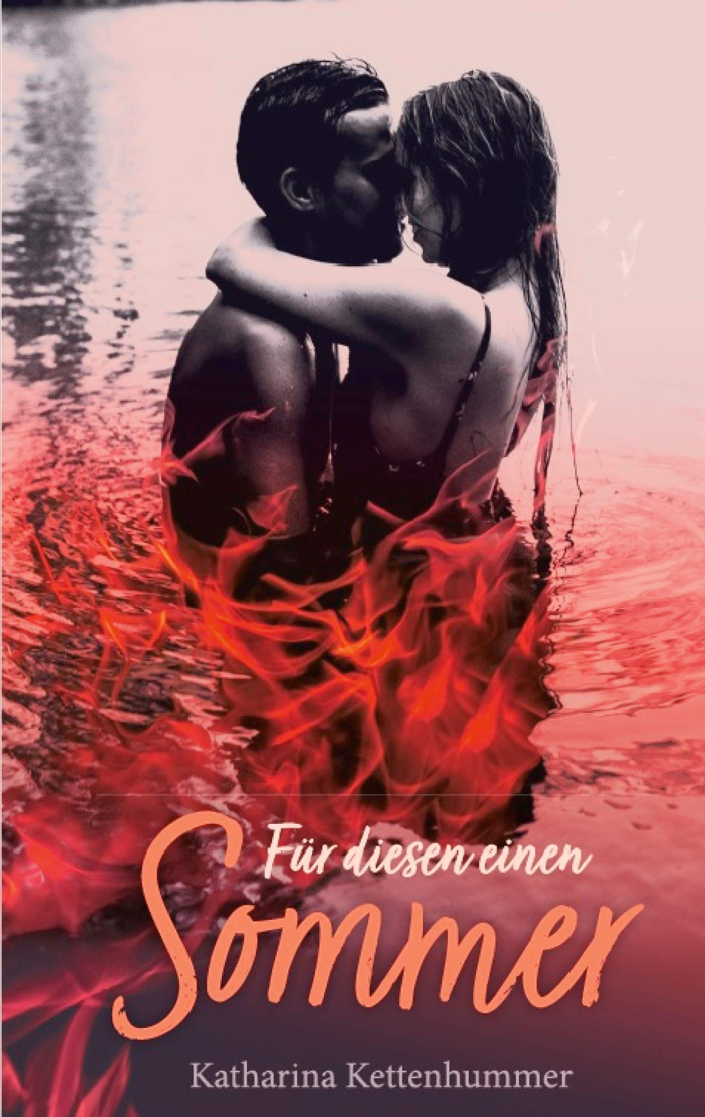 Für diesen einen Sommer Contemporary literature