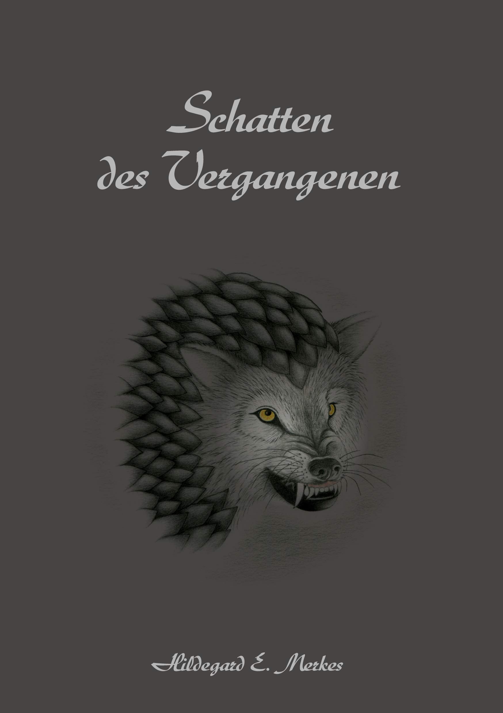 Schatten des Vergangenen Historical Fiction