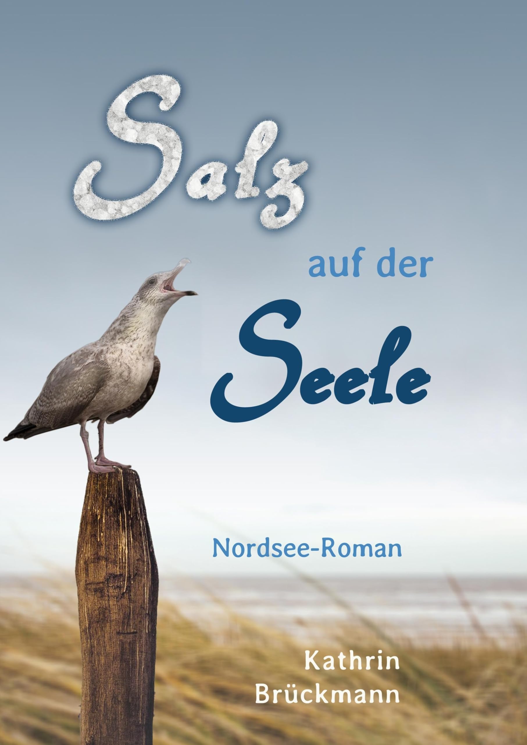 Salz auf der Seele: Ein Nordsee-Roman Contemporary literature