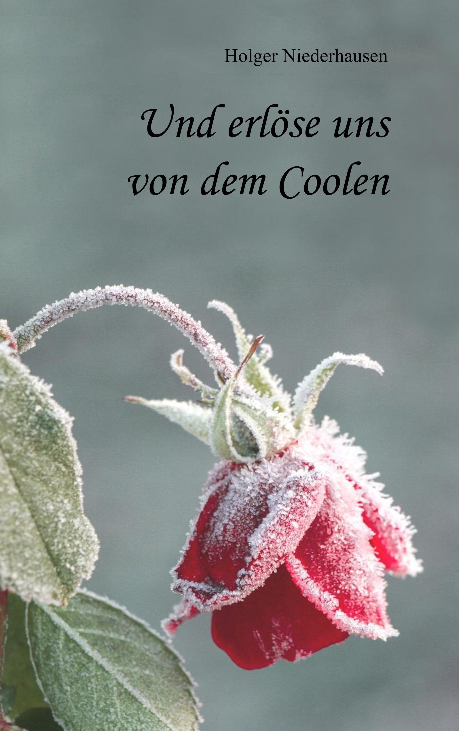 Und erlöse uns von dem Coolen Social Sciences