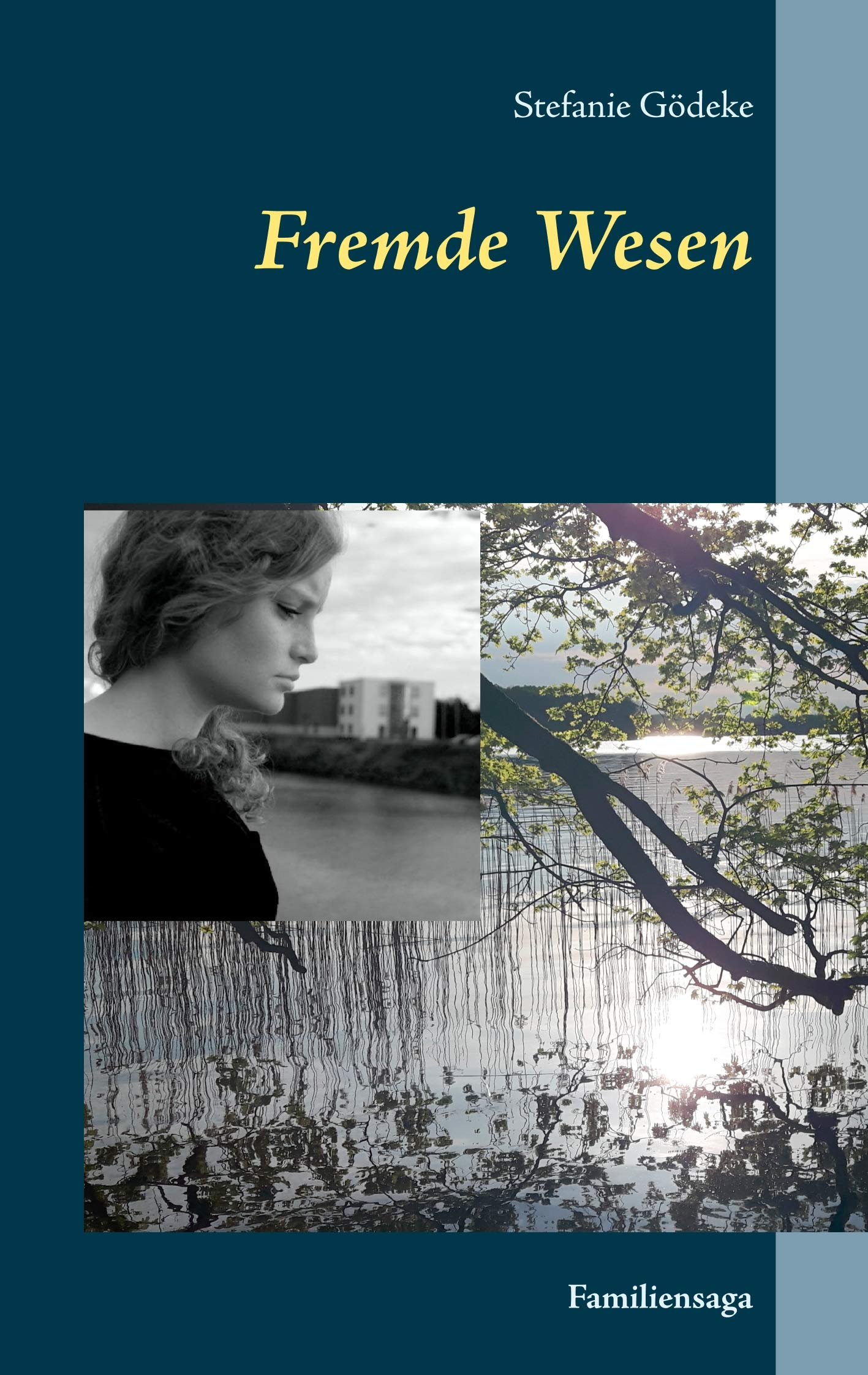 Fremde Wesen: Familiensaga Contemporary literature