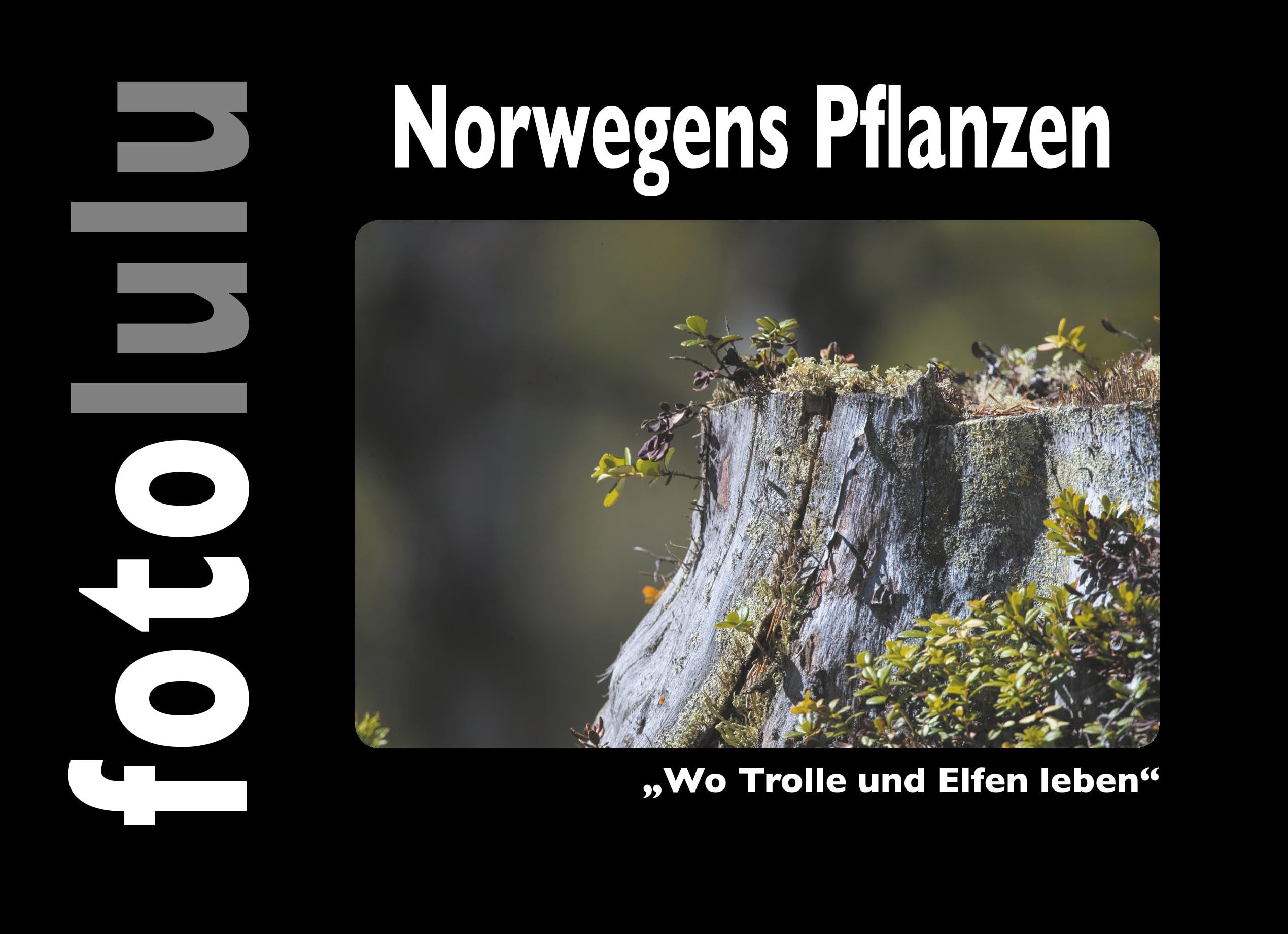 Norwegens Pflanzen: "Wo Trolle und Elfen leben" Photography