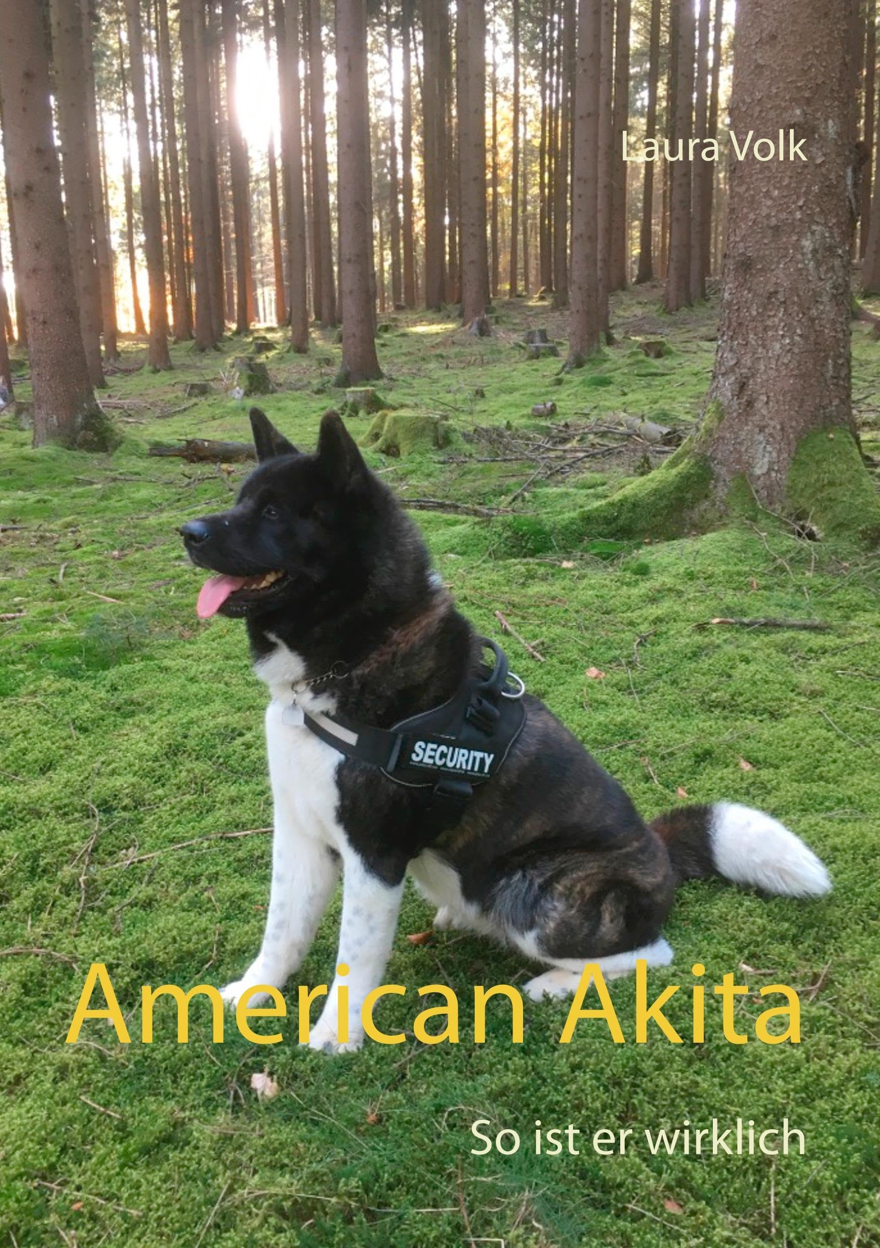 American Akita Pets