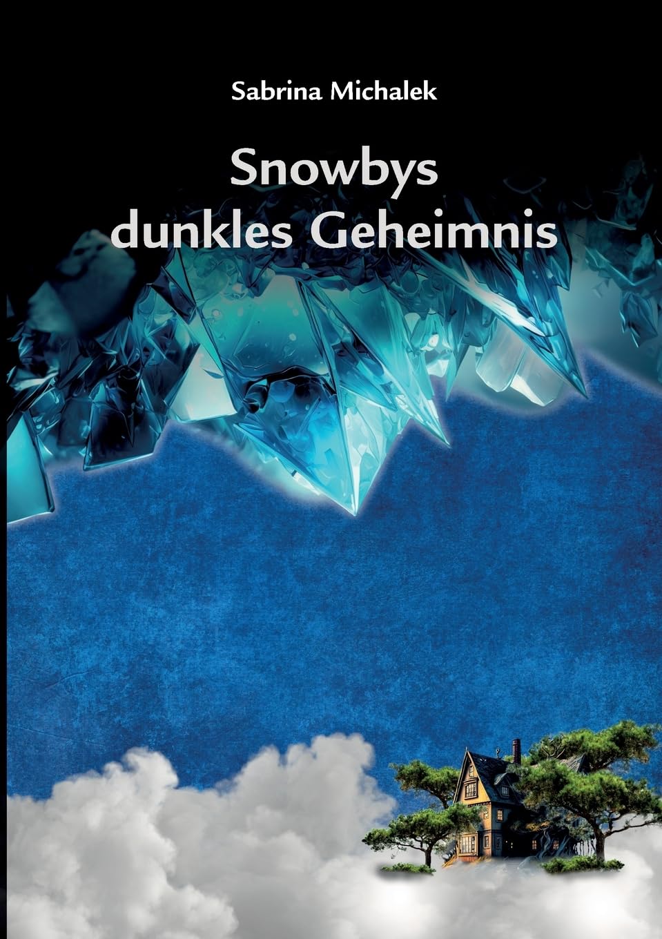 Snowbys dunkles Geheimnis book