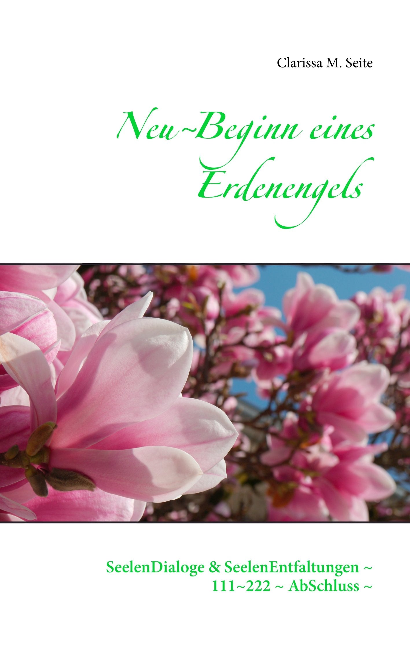 Neu~Beginn eines Erdenengels: SeelenDialoge & SeelenEntfaltungen ~ 111~222 ~ AbSchluss ~ Lifestyle