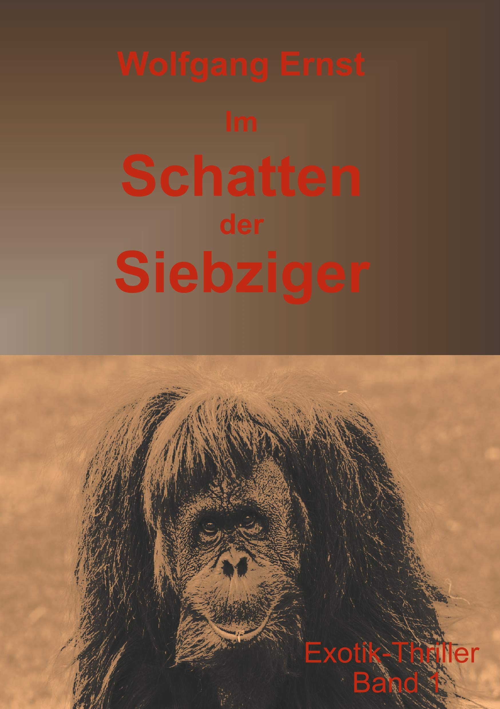 Im Schatten der Siebziger Band 1: Missbrauch Action & Adventure