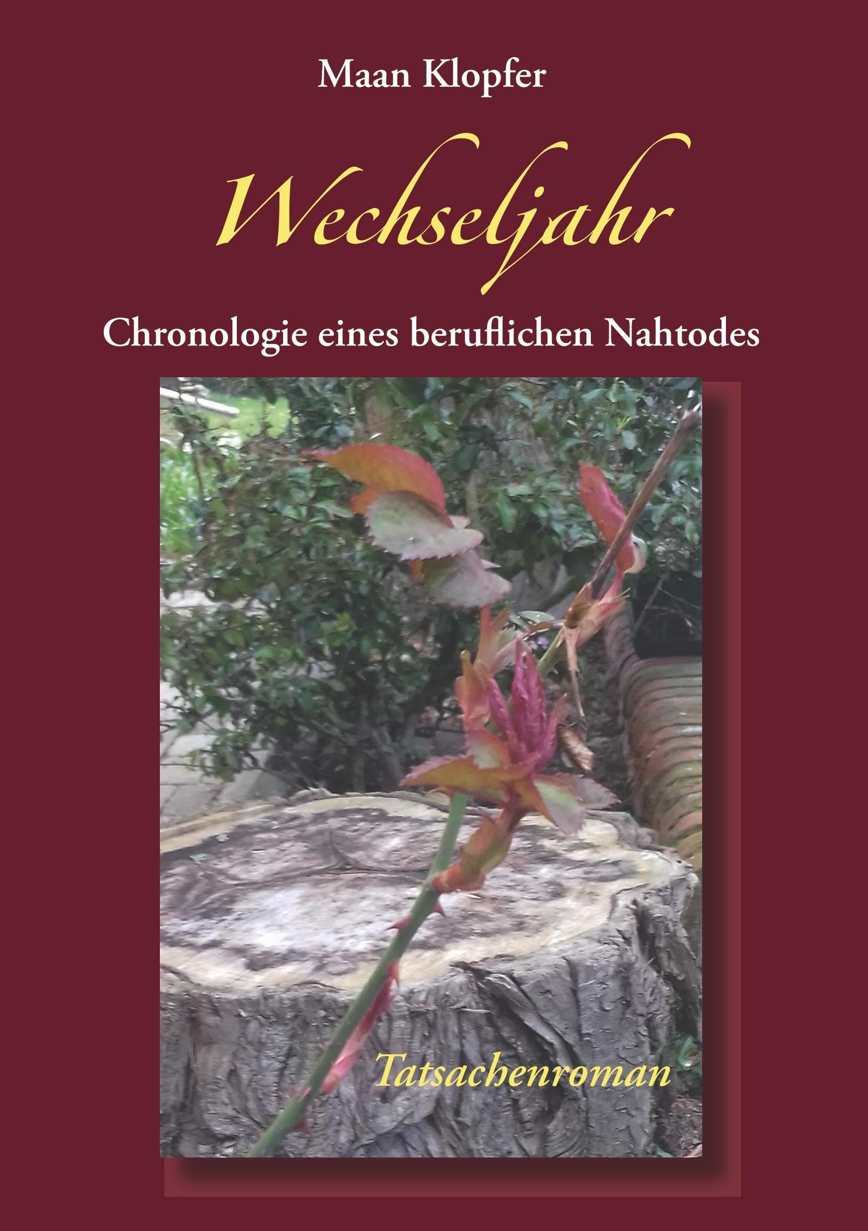 Wechseljahr: Chronologie eines beruflichen Nahtodes Social Sciences