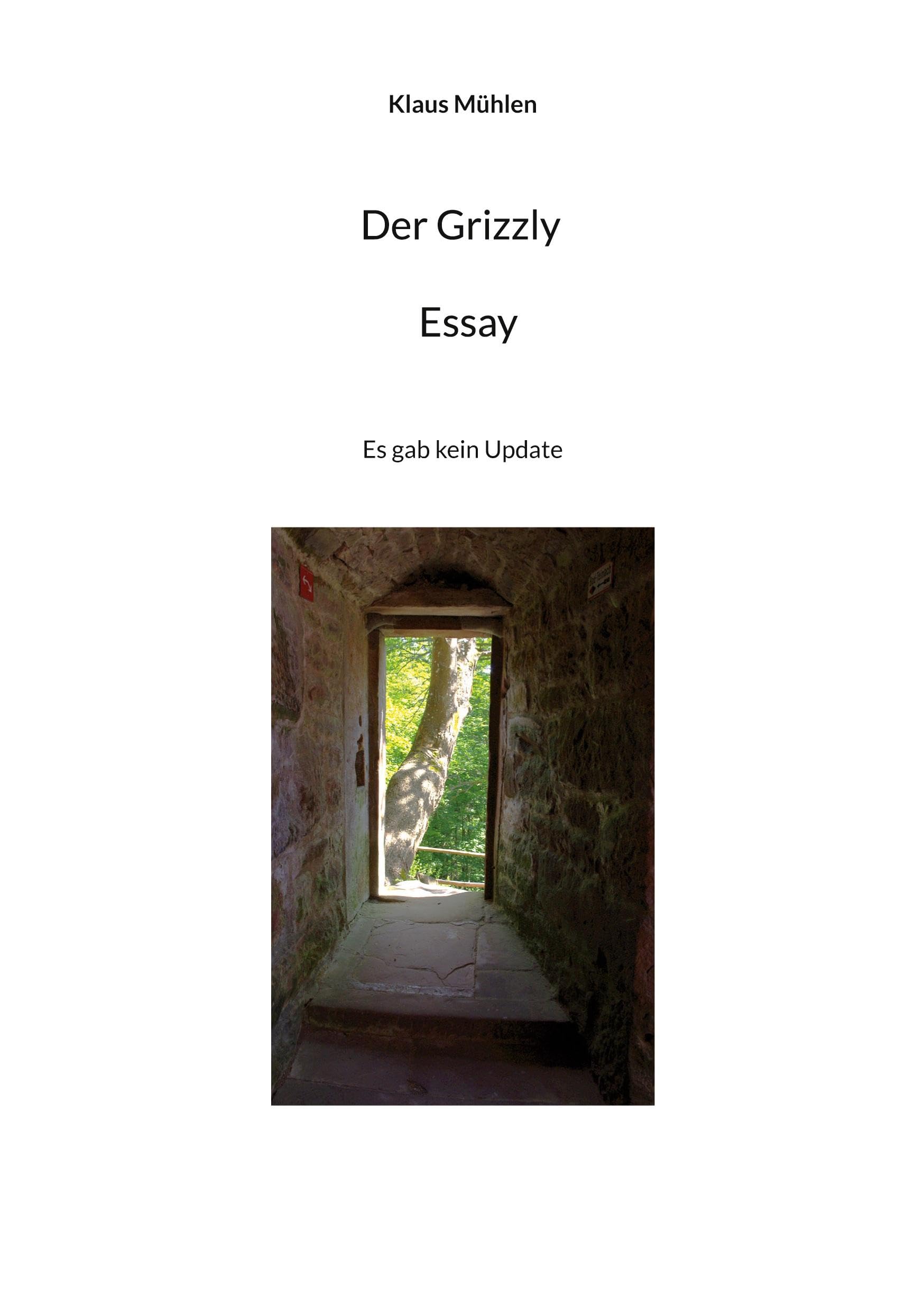 Der Grizzly - Essay: Es gab kein Update Poetry