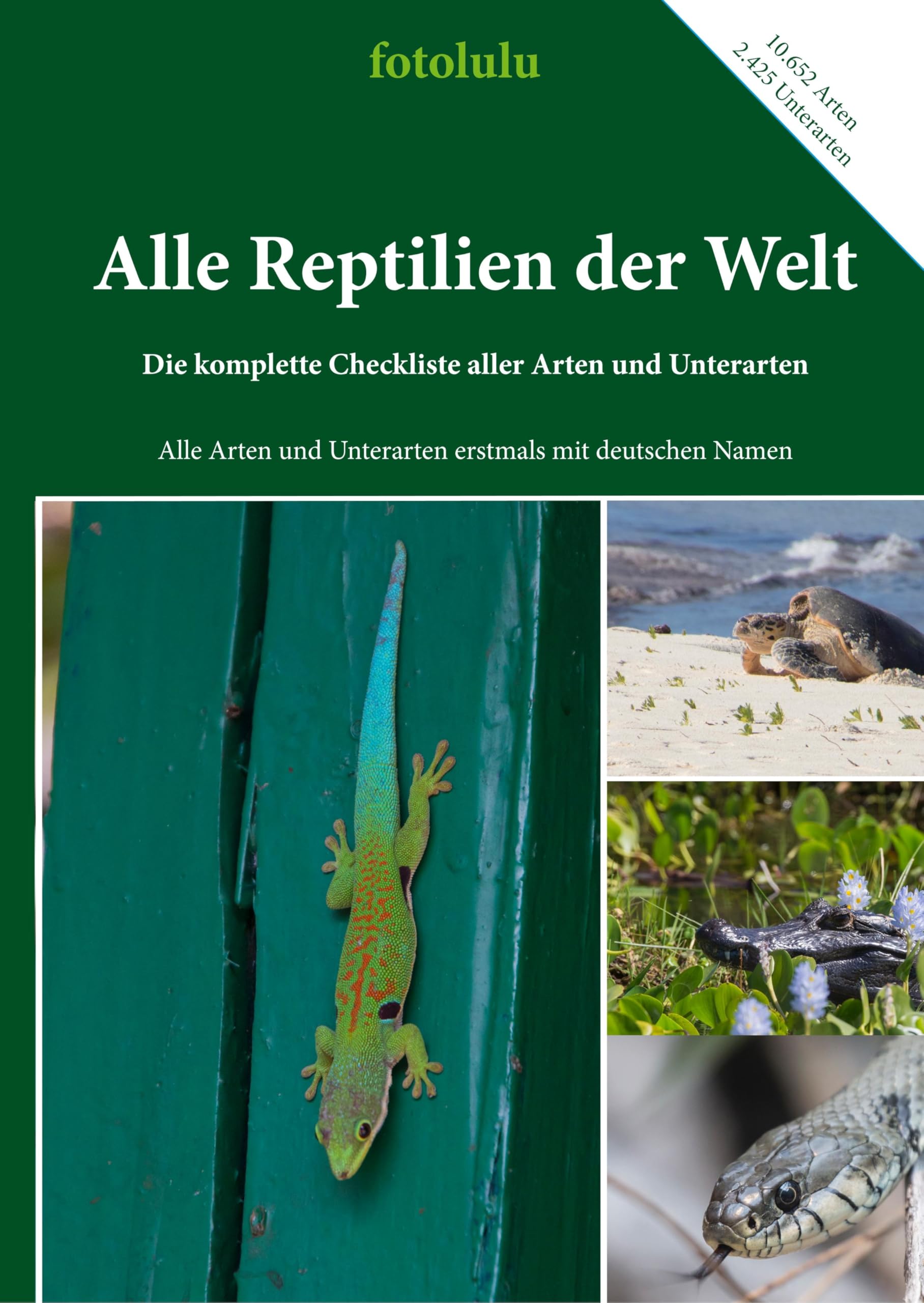 Alle Reptilien der Welt: Die komplette Checkliste aller Arten und Unterarten Leisure, Home & Garden