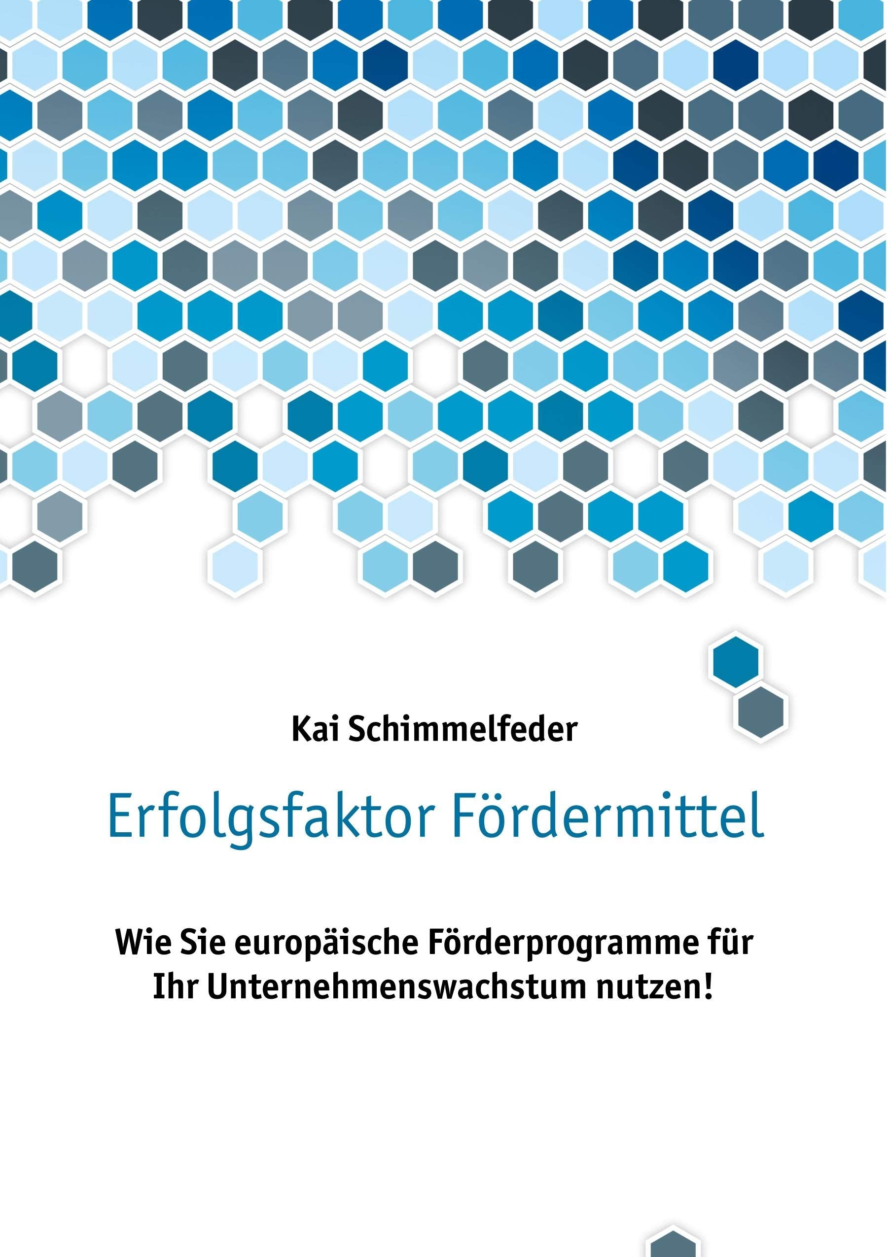 Product Image: Erfolgsfaktor Fördermittel
