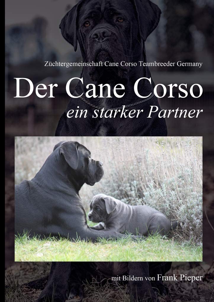 Cane Corso - ein starker Partner: mit Fotos von Frank Pieper Architecture