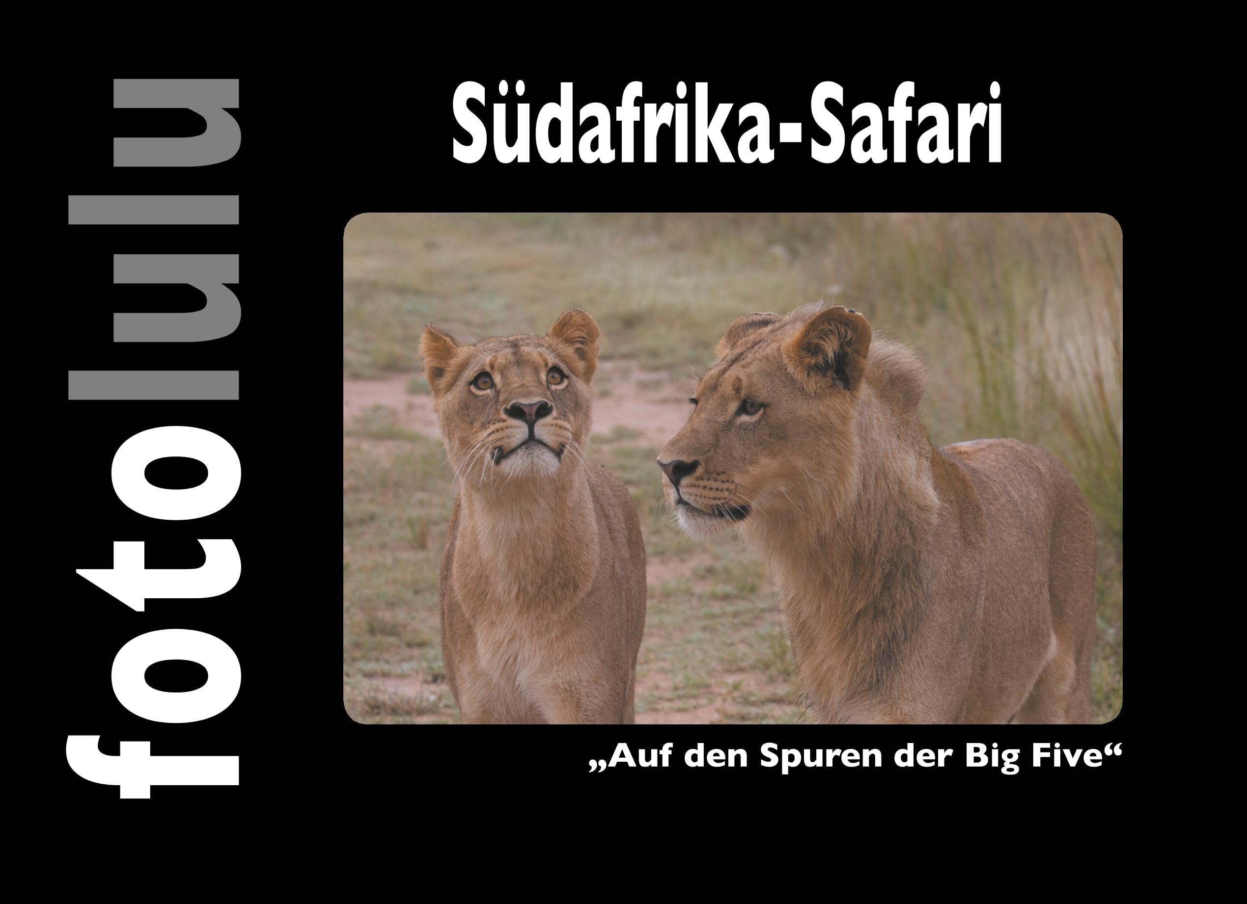 Südafrika-Safari: Auf den Spuren der Big Five Leisure, Home & Garden