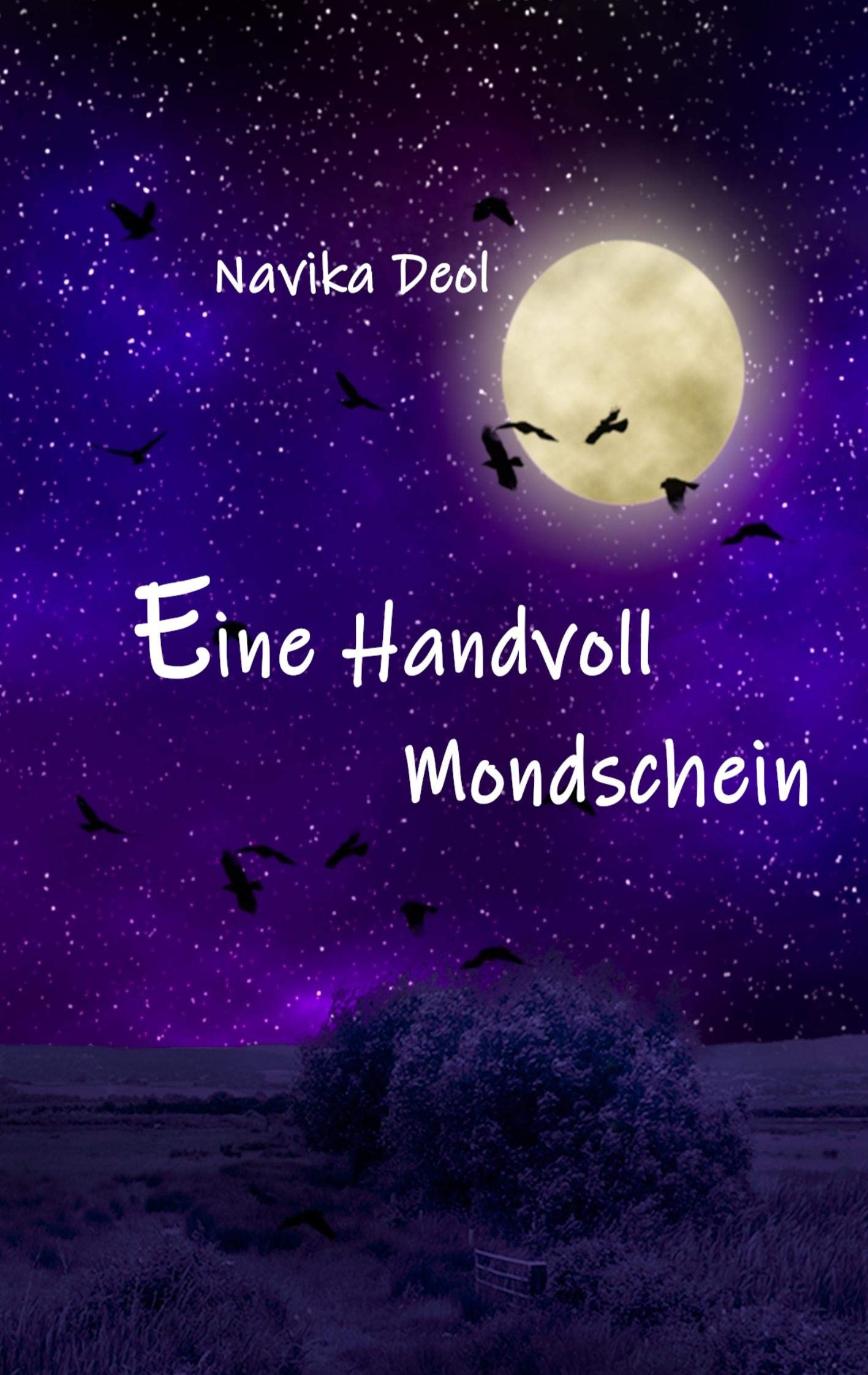 Eine Handvoll Mondschein Essays & Short Stories