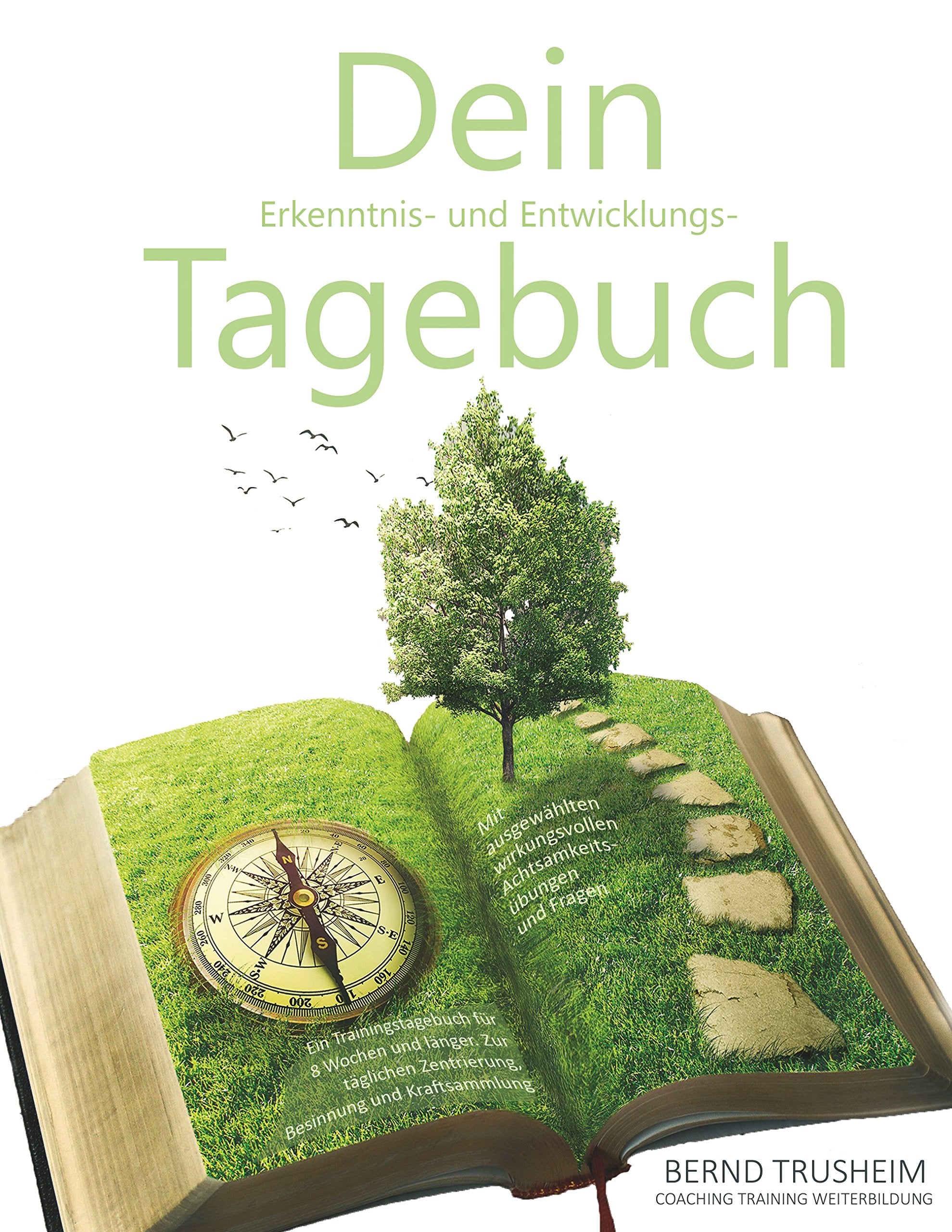 Dein Erkenntnis- und Entwicklungstagebuch: Wirksames Trainingstagebuch für 8 Wochen zur täglichen Zentrierung, Besinnung und Kraftsammlung Lifestyle