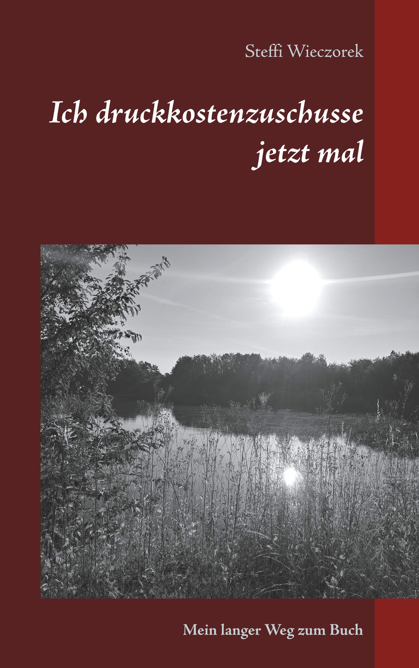 Ich druckkostenzuschusse jetzt mal: Mein langer Weg zum Buch Essays & Short Stories