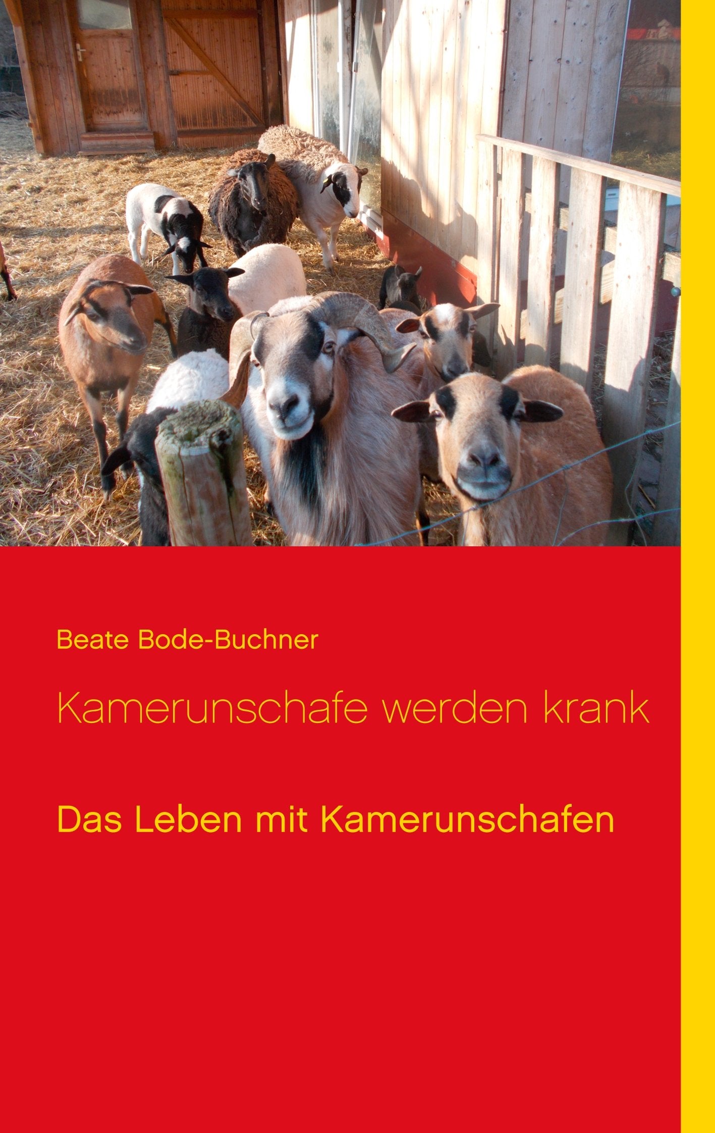 Kamerunschafe werden krank Business & Technology