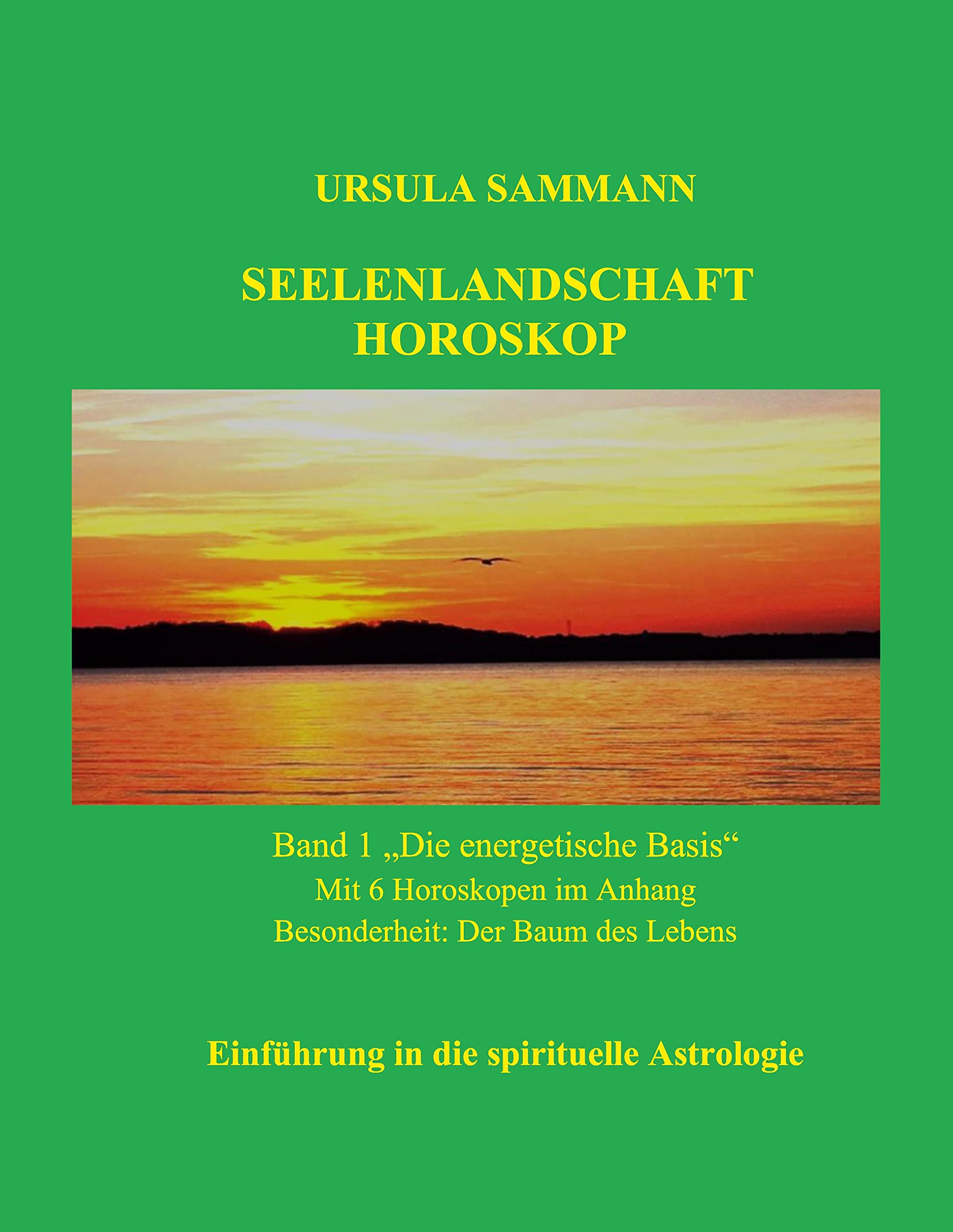Seelenlandschaft Horoskop Psychology Books