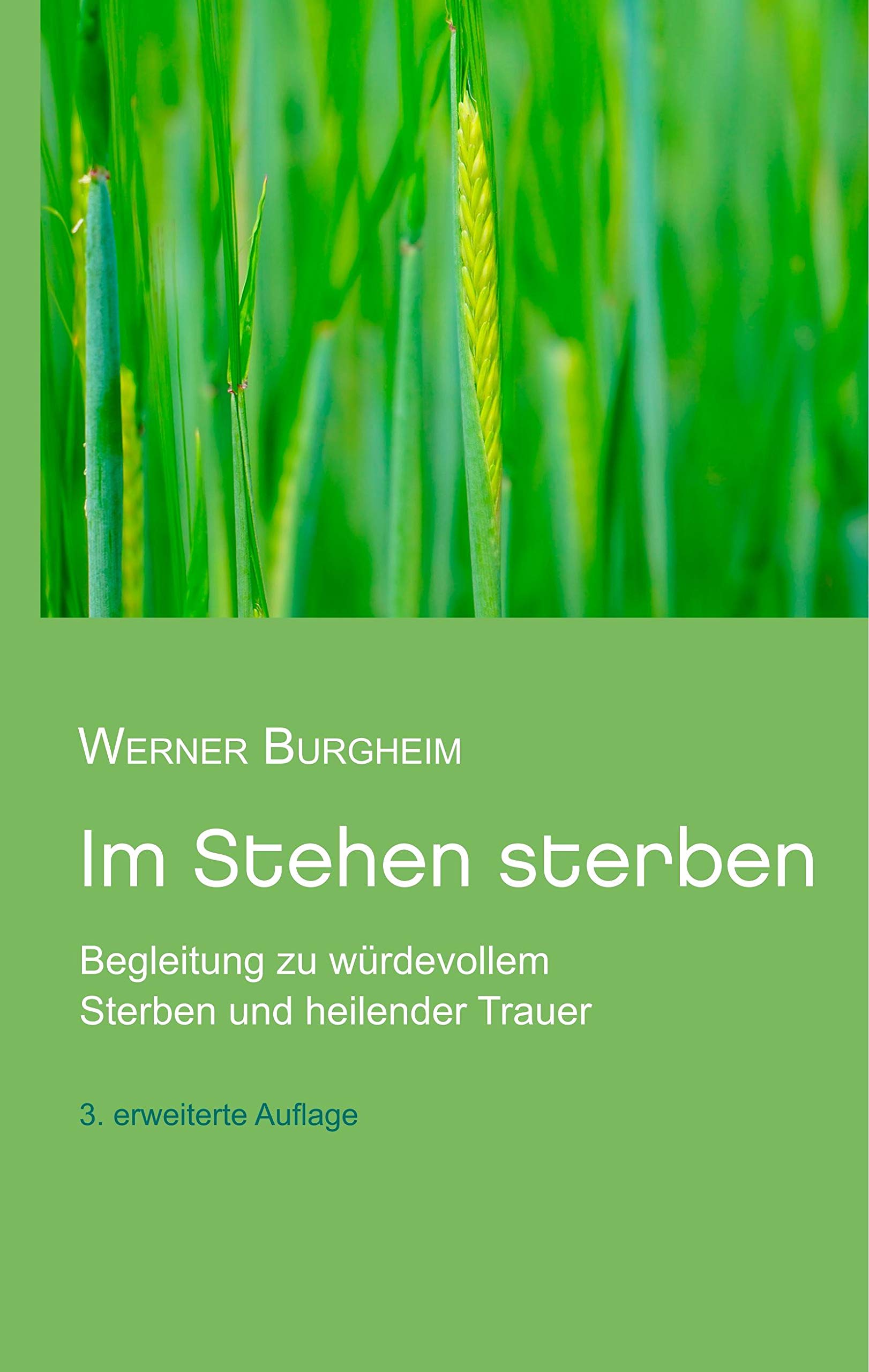 Im Stehen sterben: Begleitung zu würdevollem Sterben und heilender Trauer book