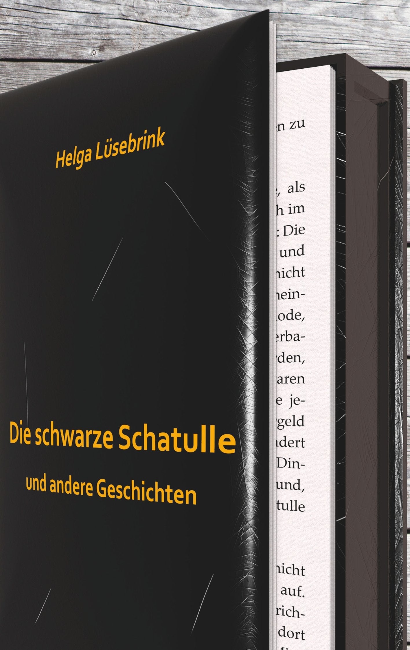 Die schwarze Schatulle: und andere Geschichten Essays & Short Stories
