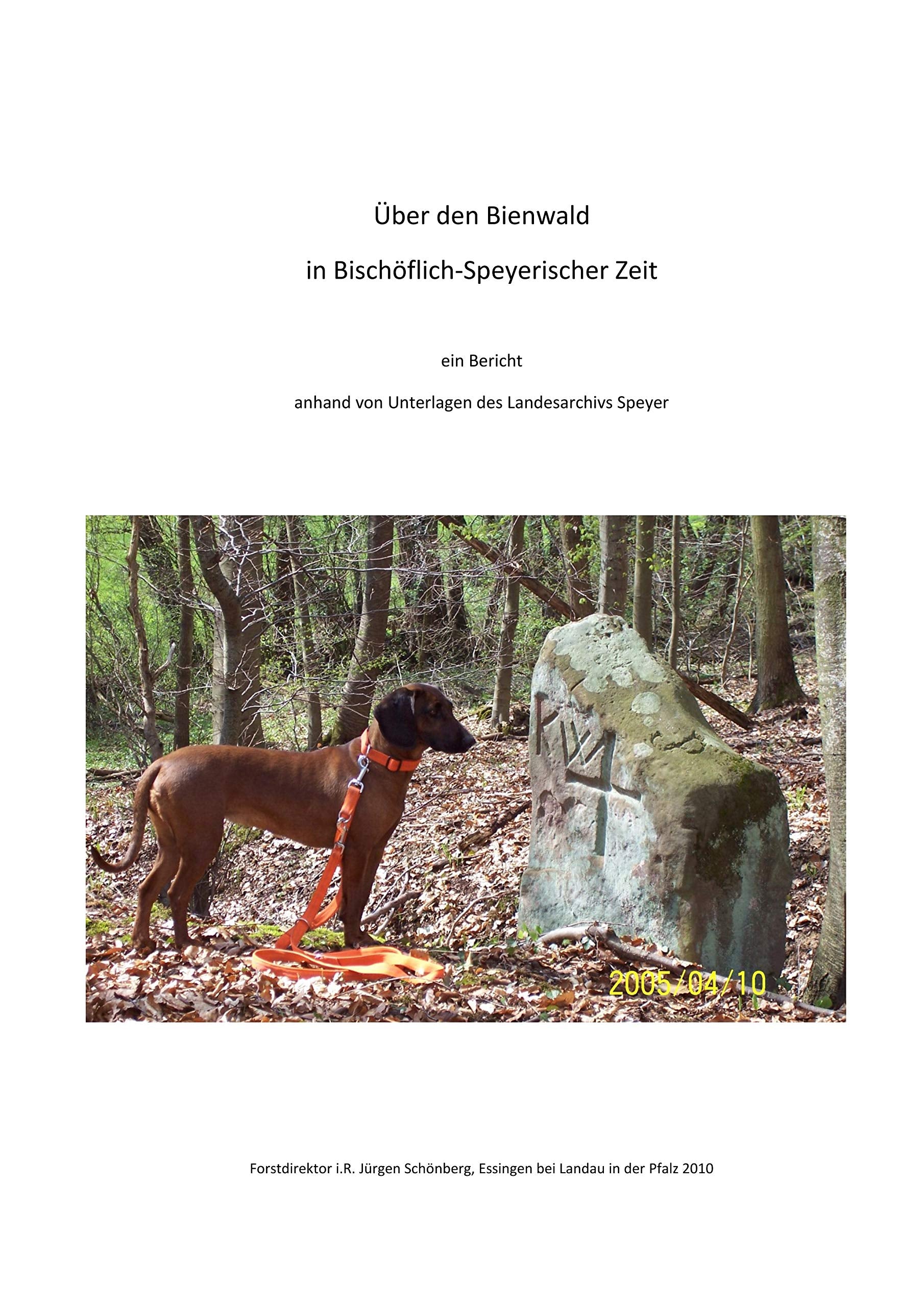 Über den Bienwald in Bischöflich-Speyerischer Zeit Geology & Geography