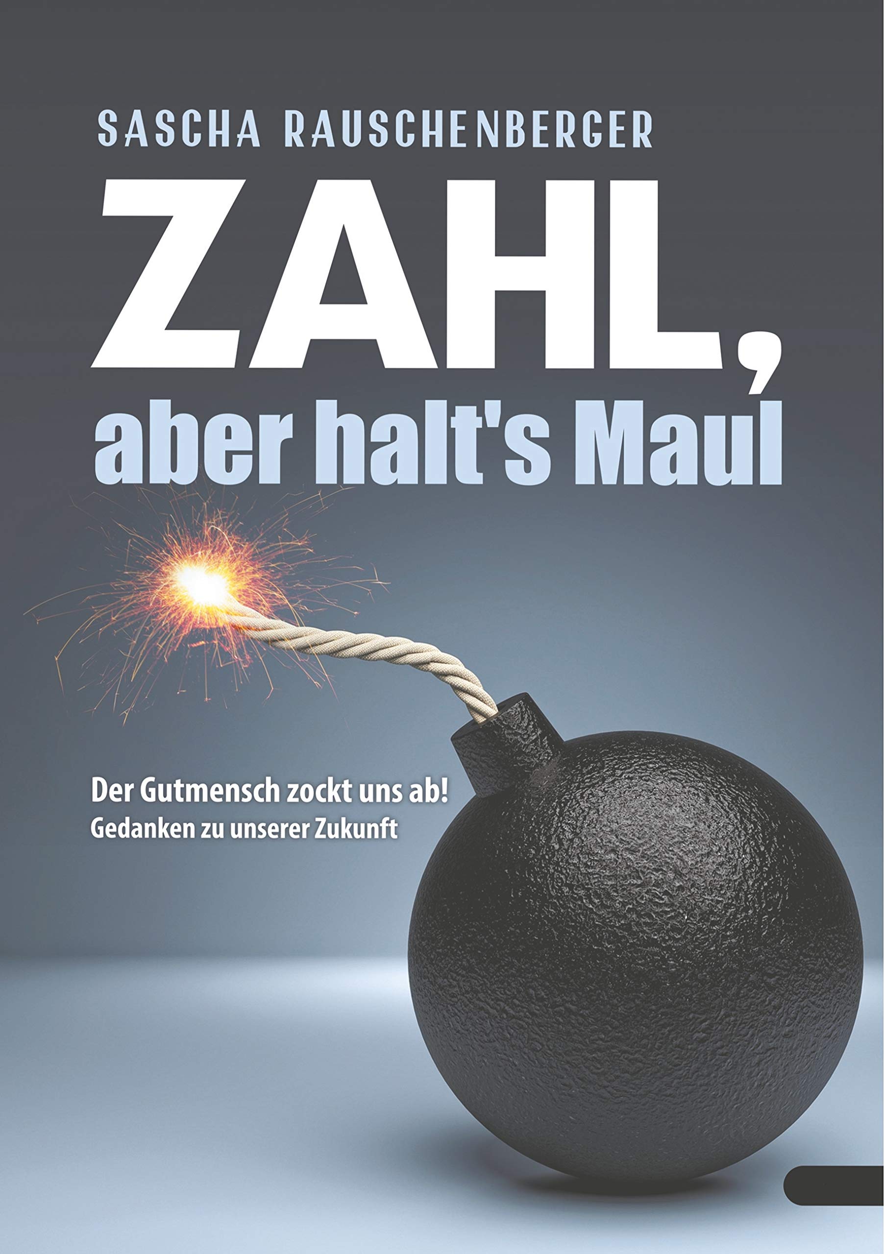 Zahl, aber halt's Maul book
