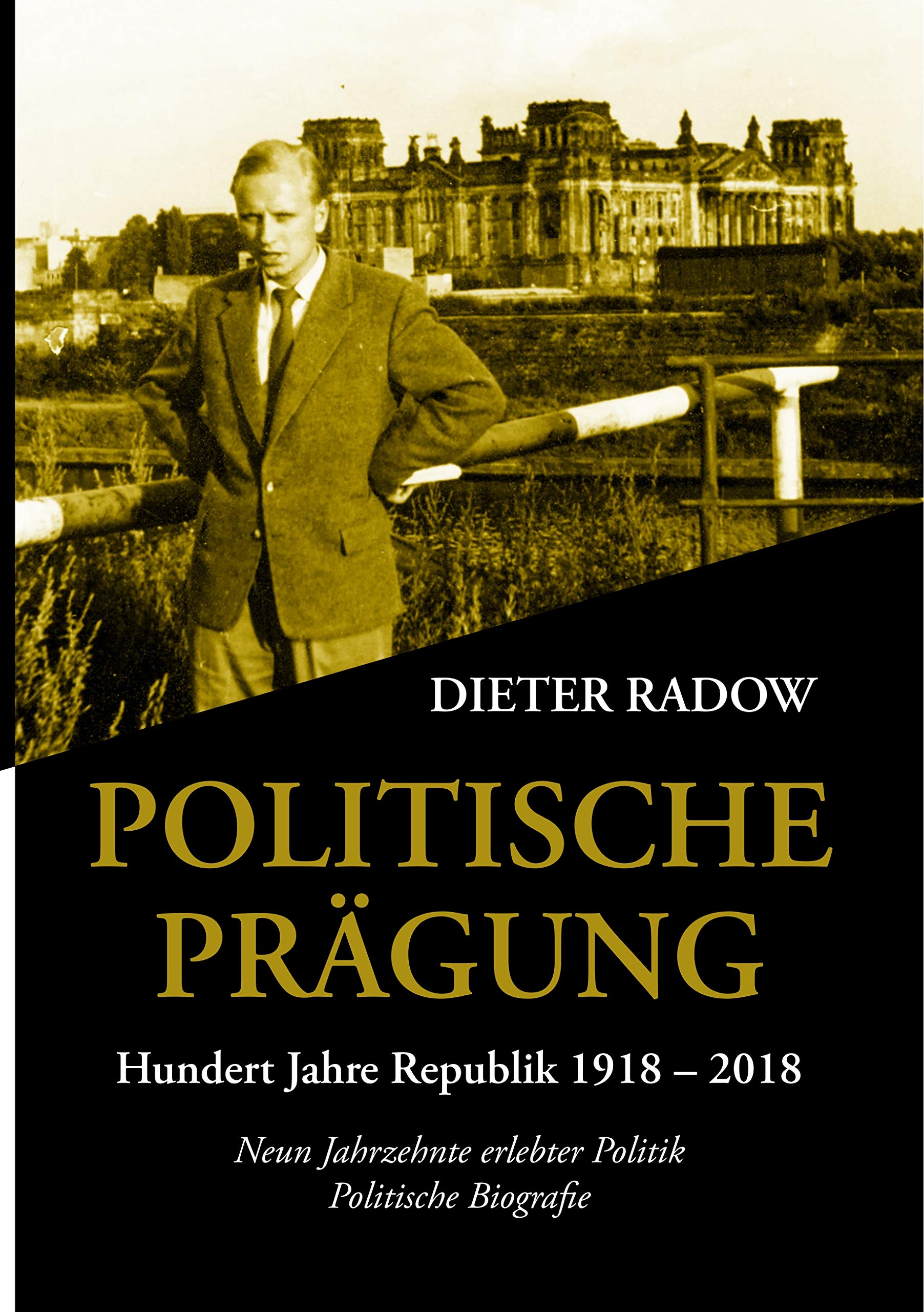 Politische Prägung book
