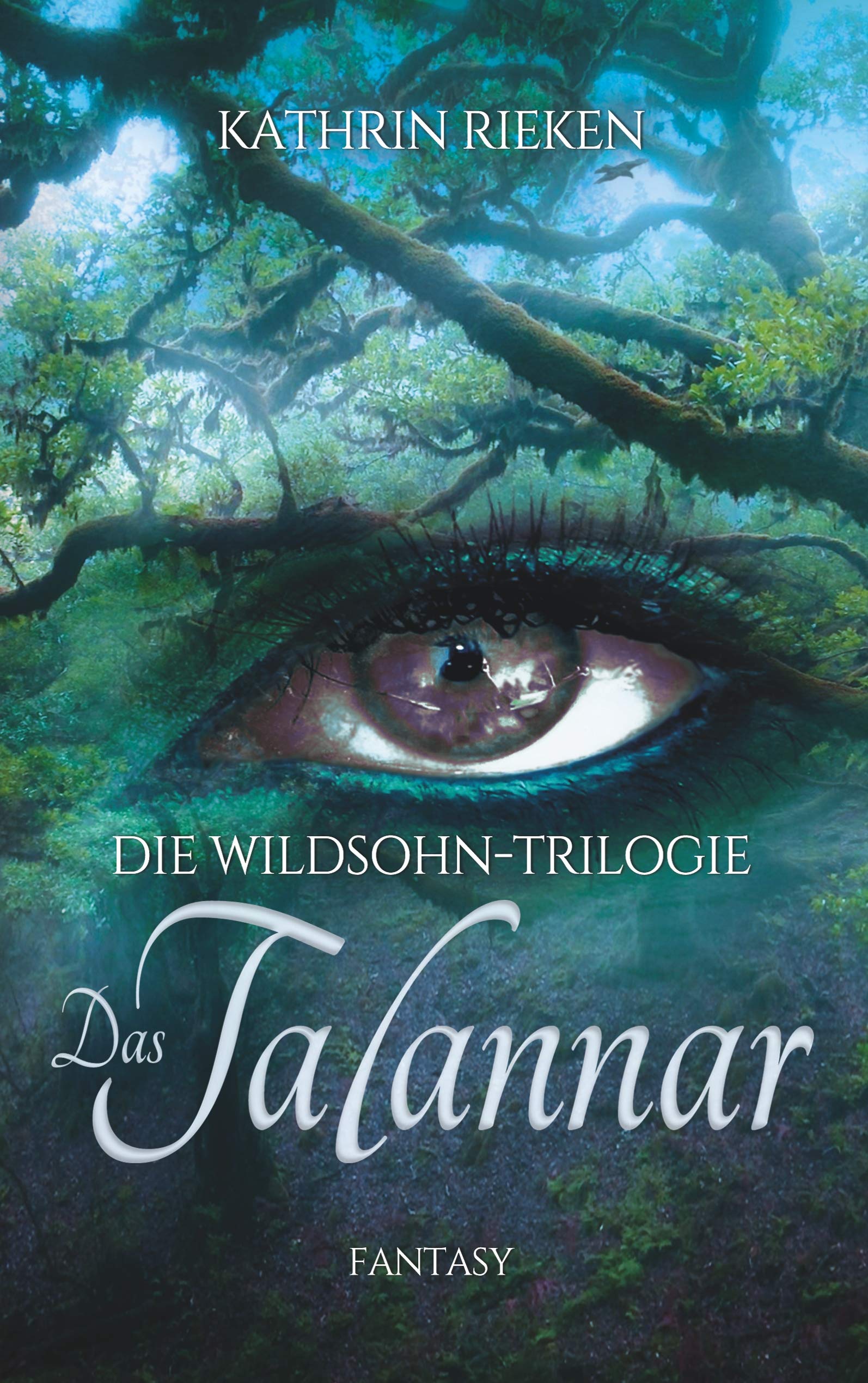 Das Talannar: Die Wildsohn-Trilogie, Band 1 Historical Fiction