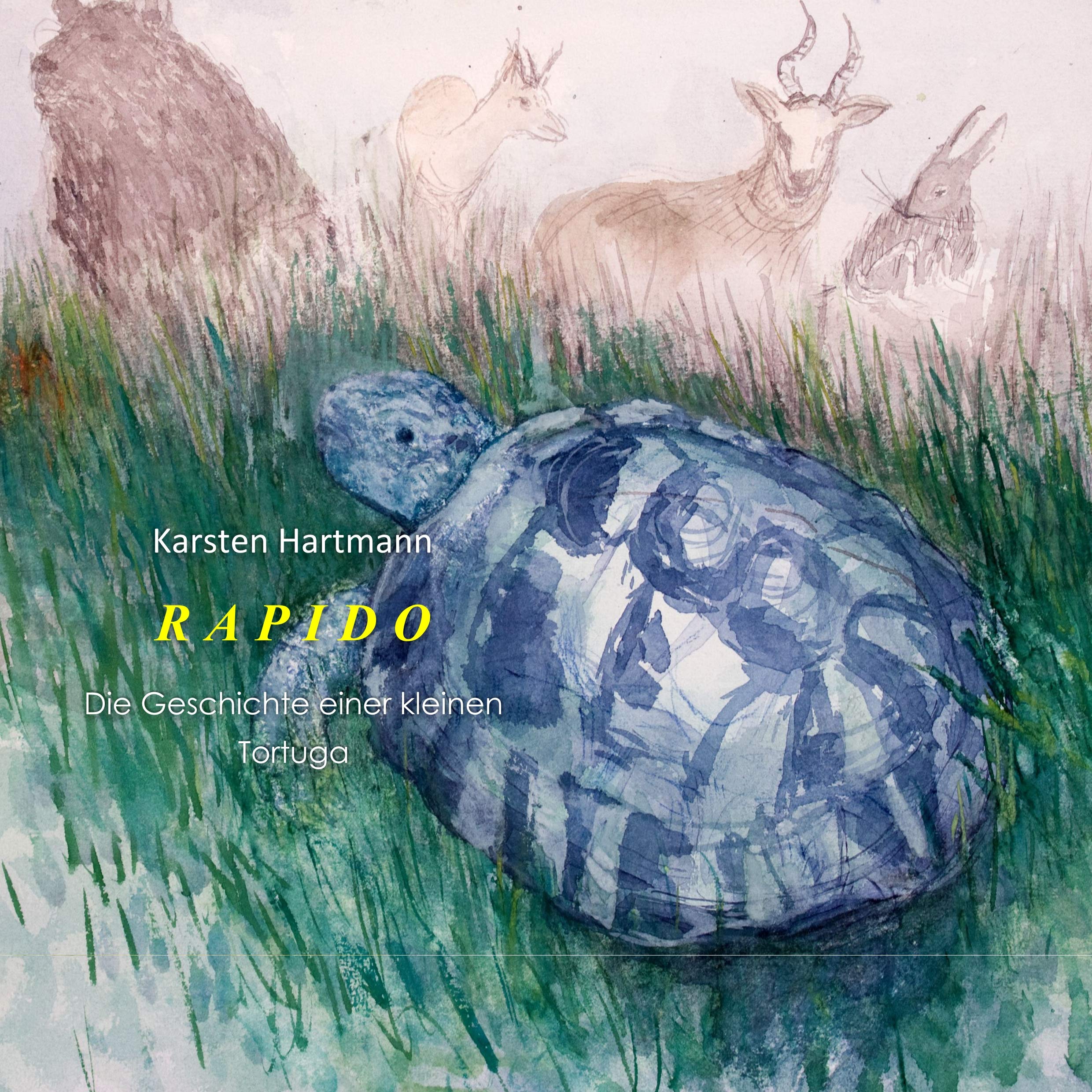 Rapido: die Geschichten einer kleinen Tortuga Novels & Short Stories