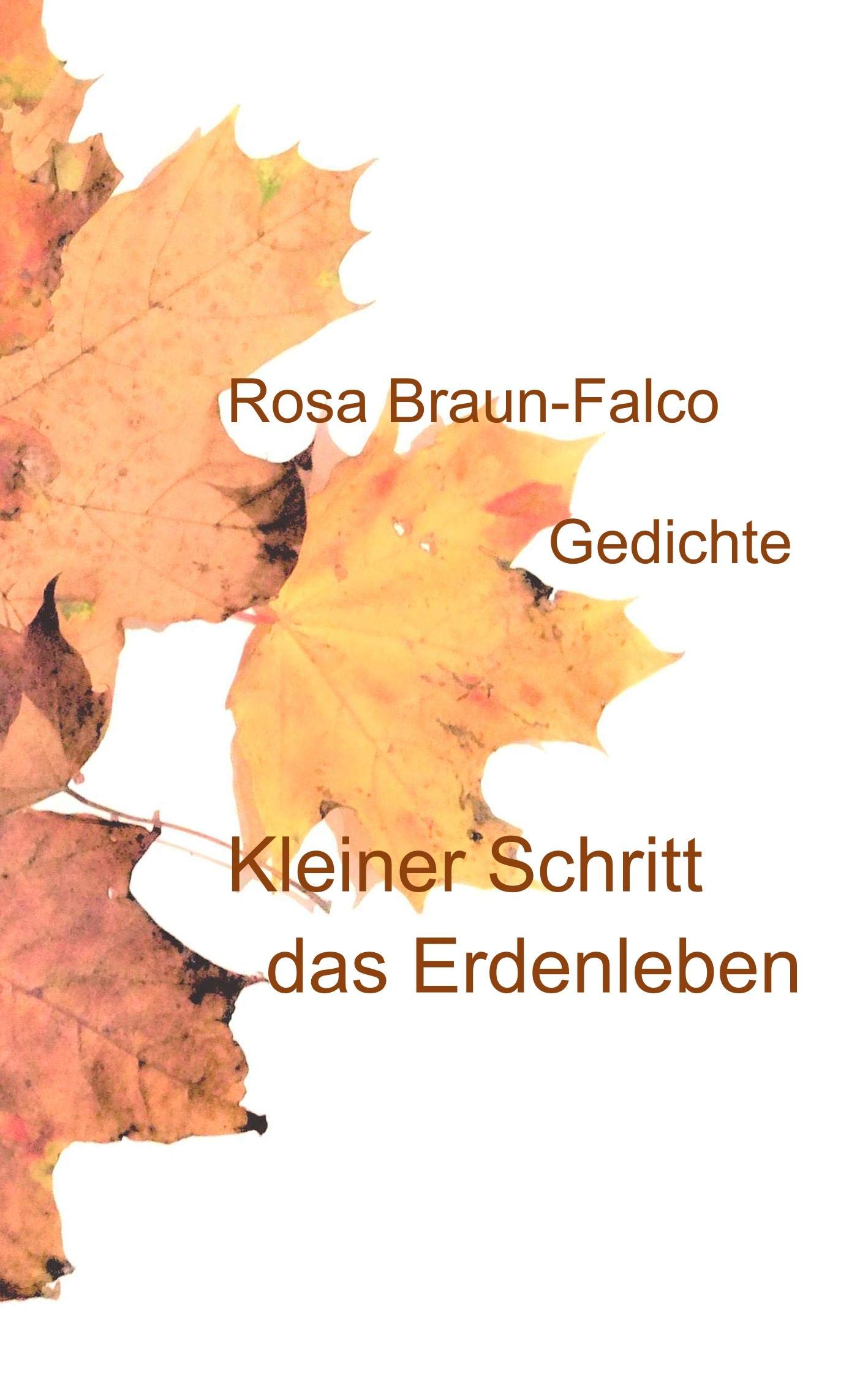 Kleiner Schritt das Erdenleben: Gedichte Medicine