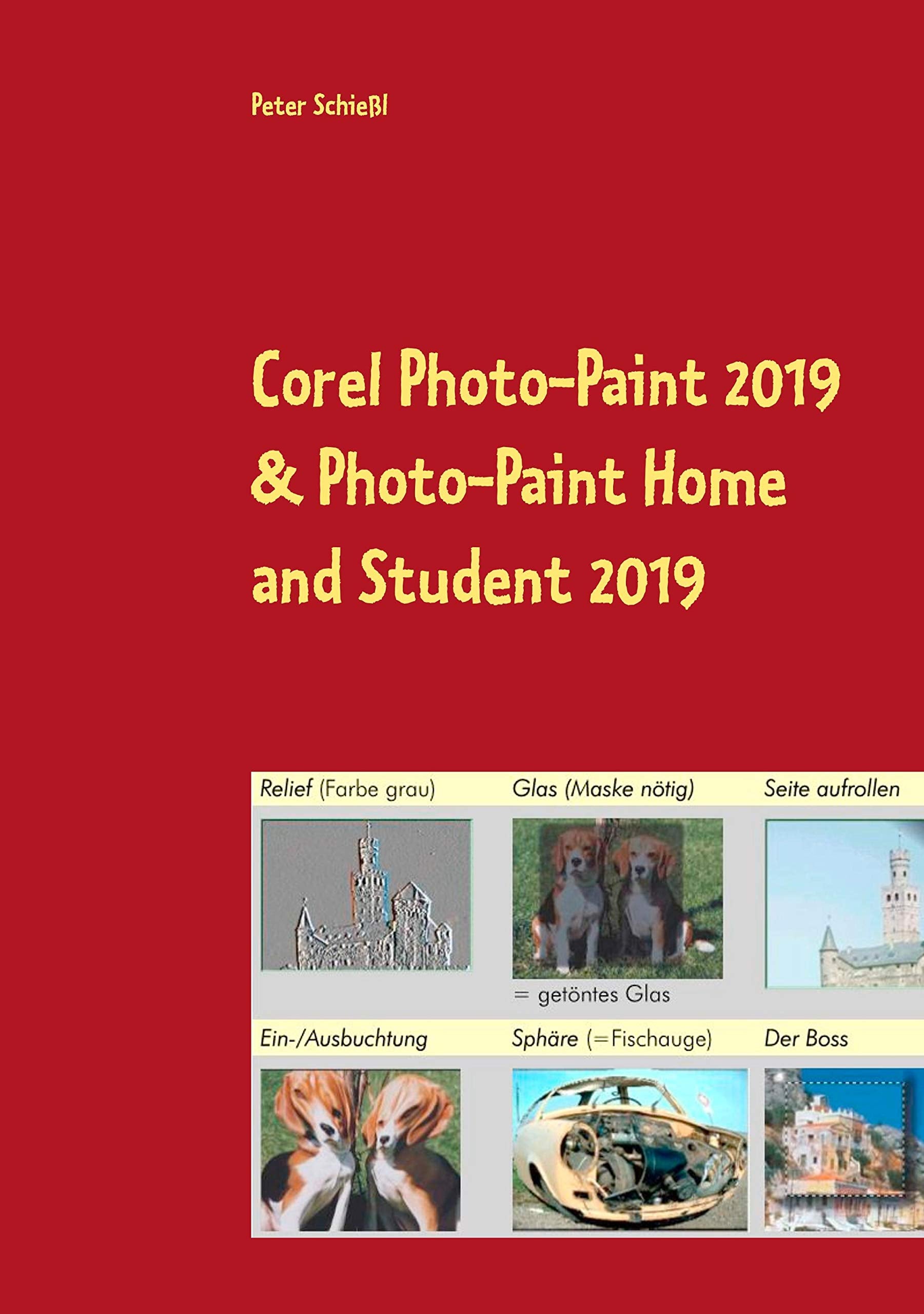 Corel Photo-Paint 2019 & Photo-Paint Home and Student 2019: Schulungsbuch mit vielen integrierten Übungen Hobbies & Crafts