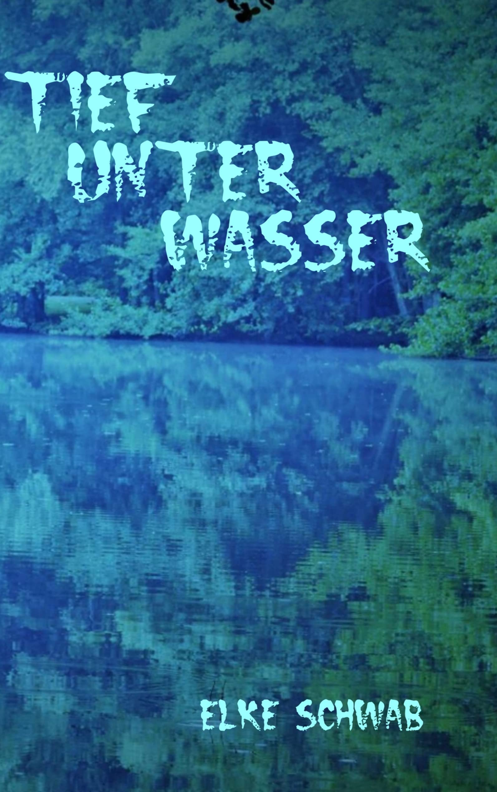 Tief unter Wasser: Südwestdeutscher Krimi Contemporary literature