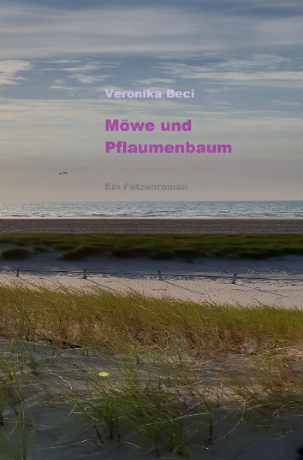 Möwe und Pflaumenbaum: Ein Fetzenroman Contemporary literature
