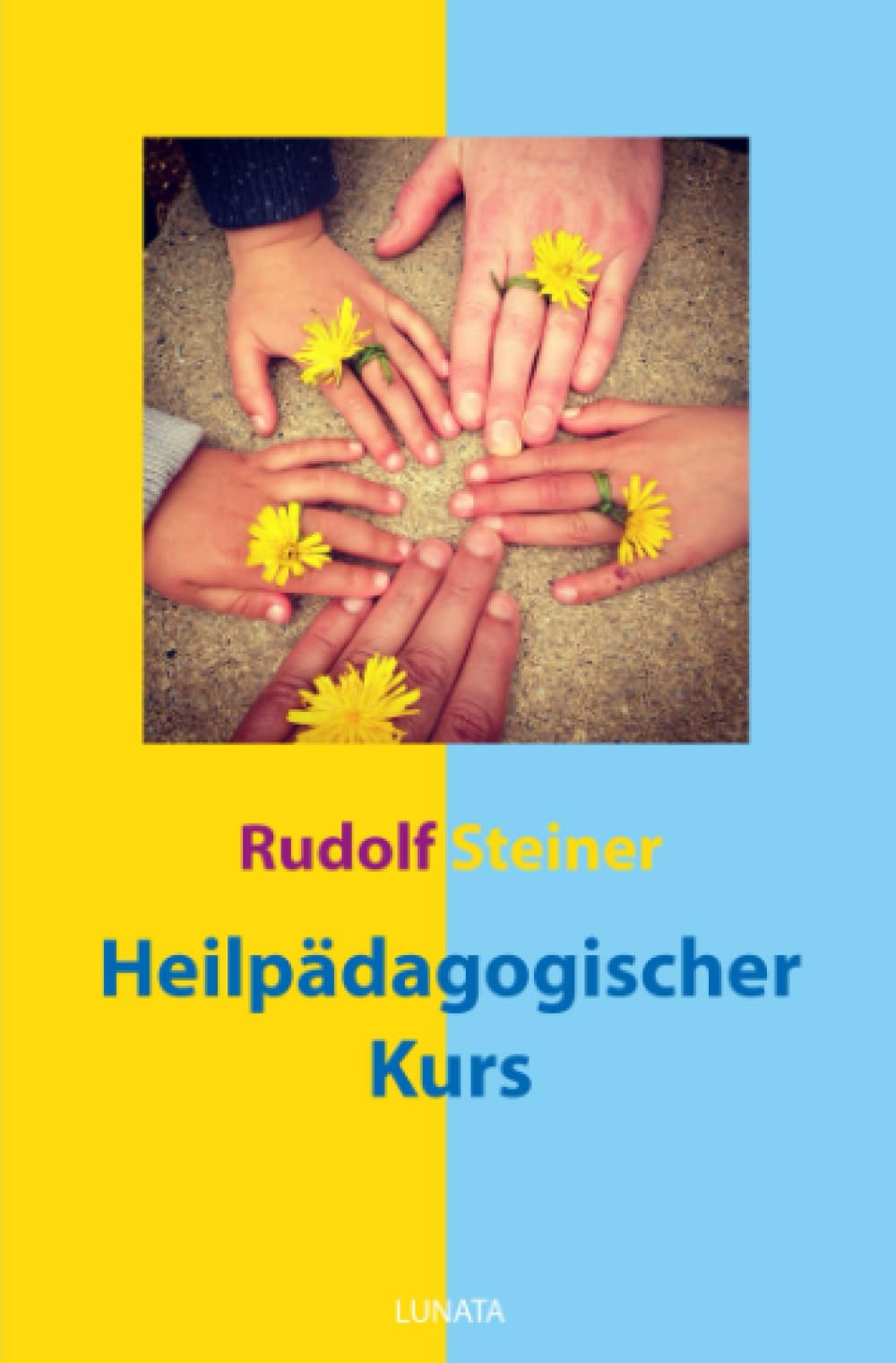 Heilpädagogischer Kurs Medicine Books