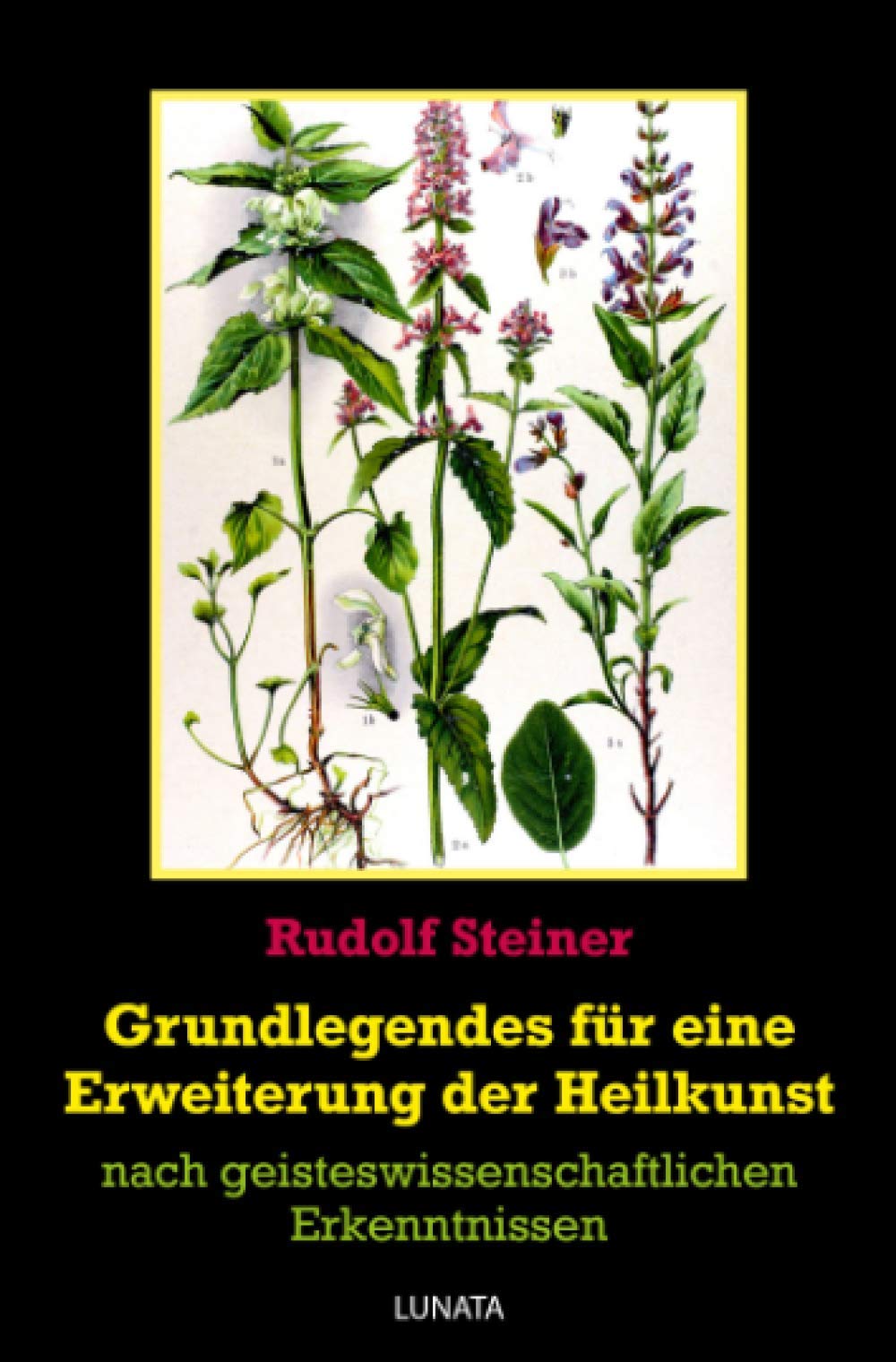 Grundlegendes zur Erweiterung der Heilkunst: nach geisteswissenschaftlichen Erkenntnissen Classics