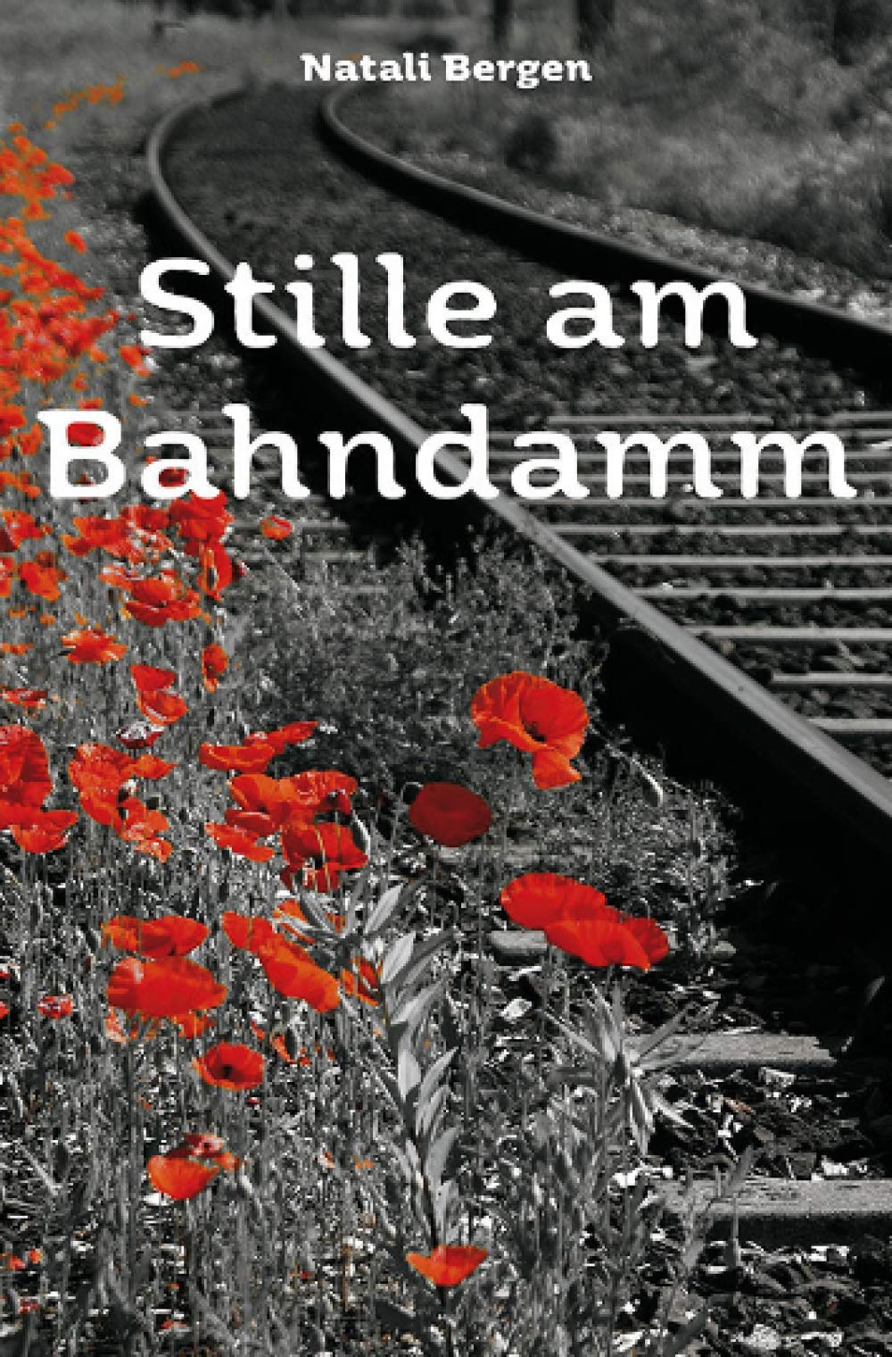 Stille am Bahndamm: Jugendroman book